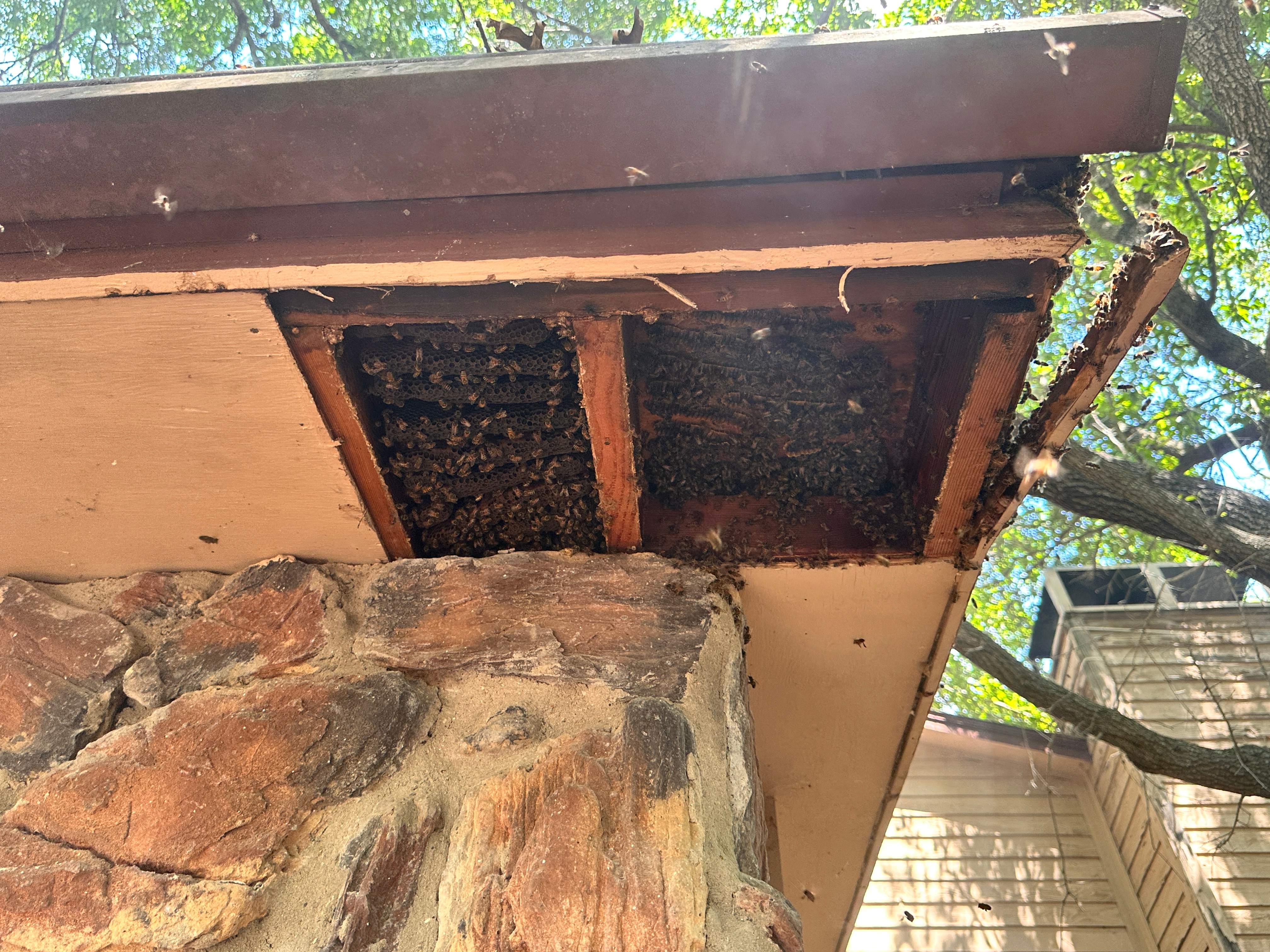 Abandoned Home by Rockwall Honey Bee Company