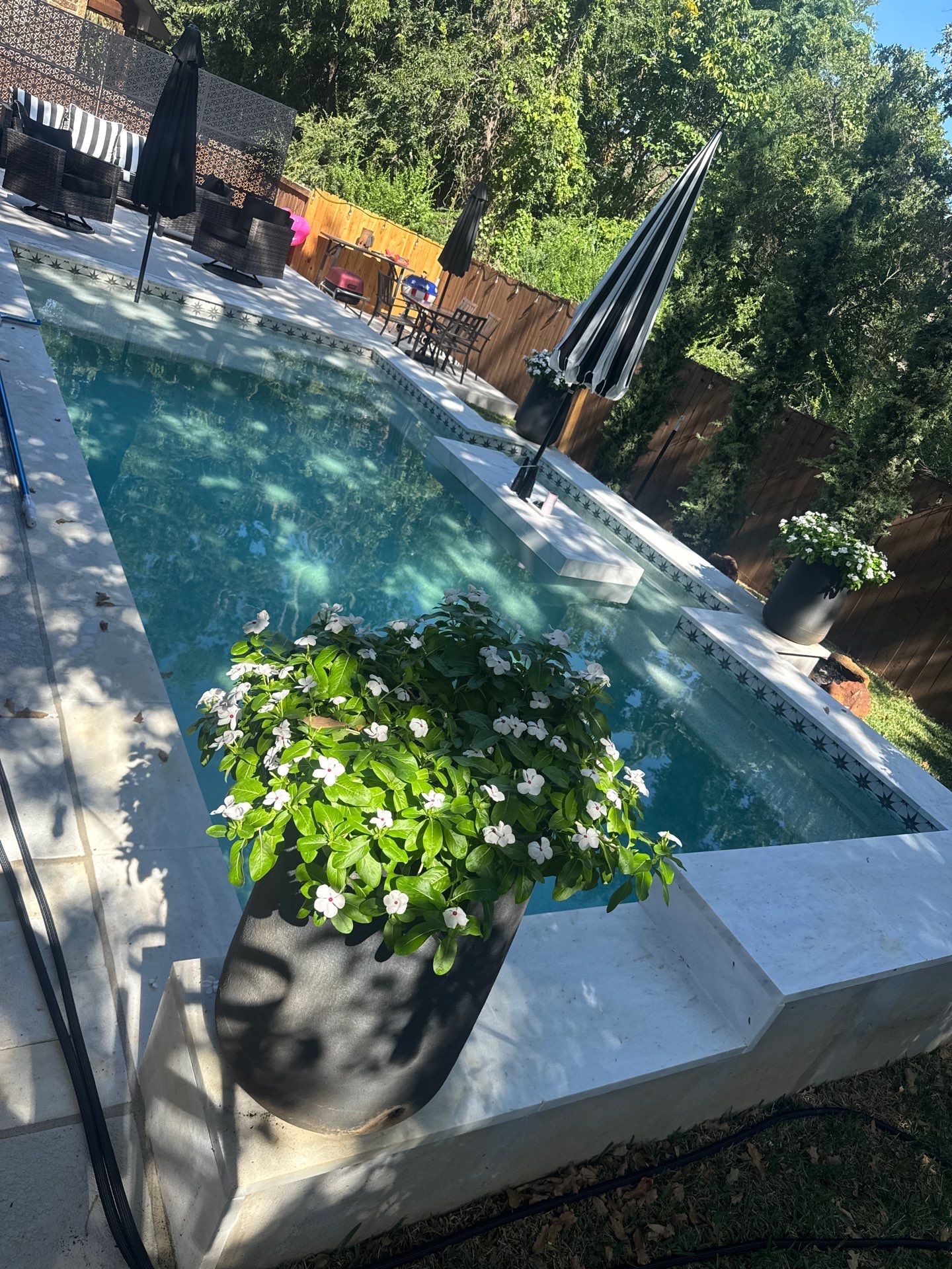 Geometric Pool with Raised Spa and White Coping by Pinnacle Pools and Spas - DFW