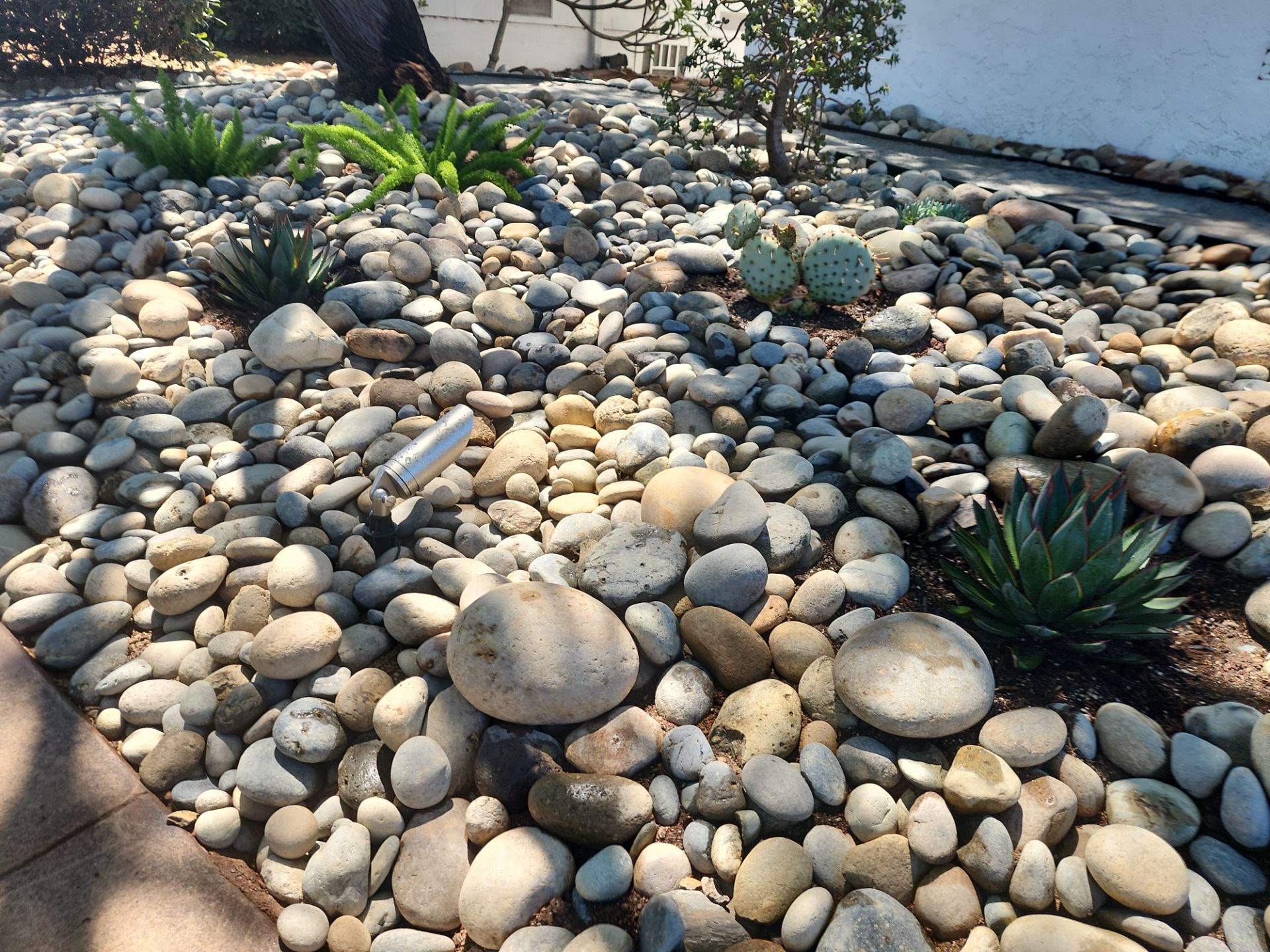 Xeriscape Transformation with River Rock and Irrigation in San Diego by Yard Techs