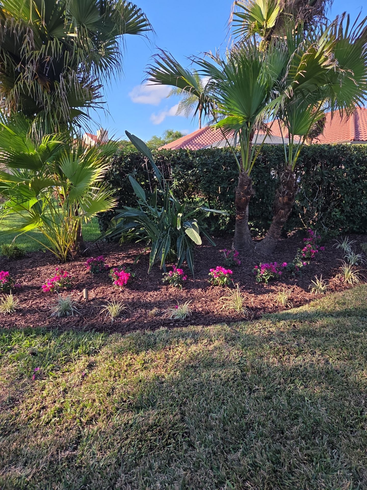 Harbour Ridge Backyard Revival by Alpha Zeta Enterprises Inc