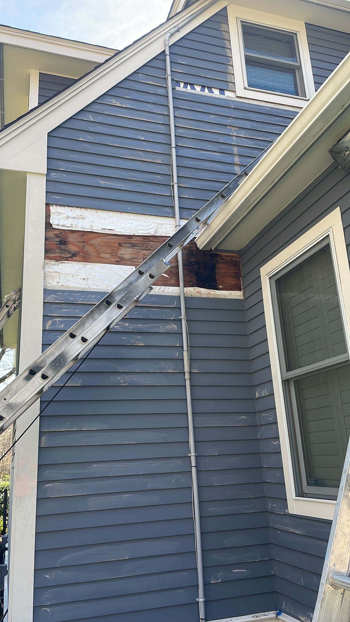 Exterior Painting & Carpentry Repairs by EXCELLENCE | CARTO