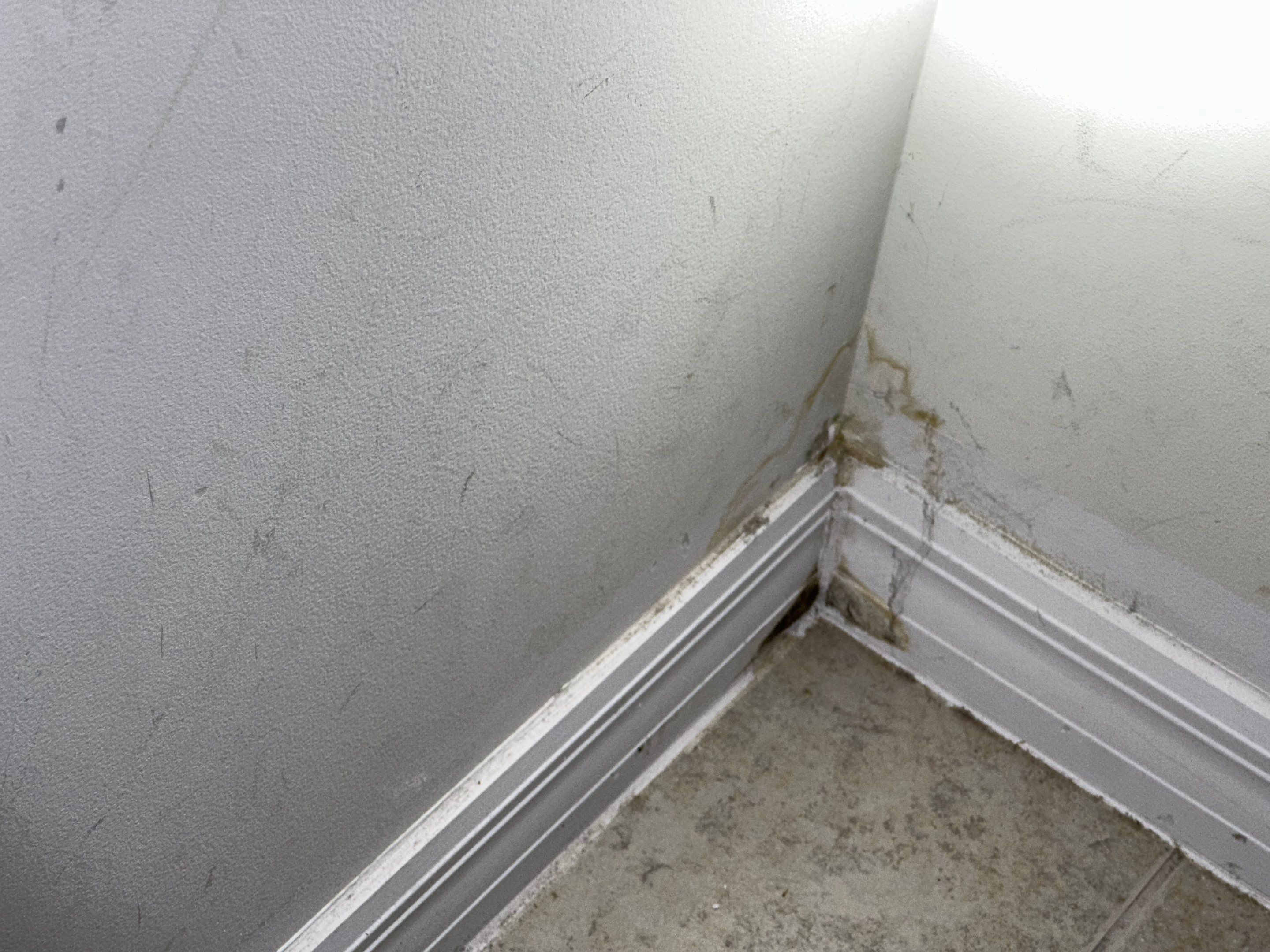 Water Damage Claim in Tamarac by FLAPA & KeyStone