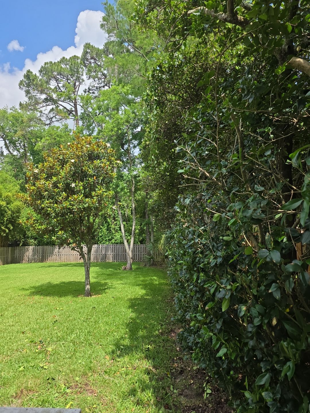 Deerwood Resident | Tree Trimming by ProGreen Services