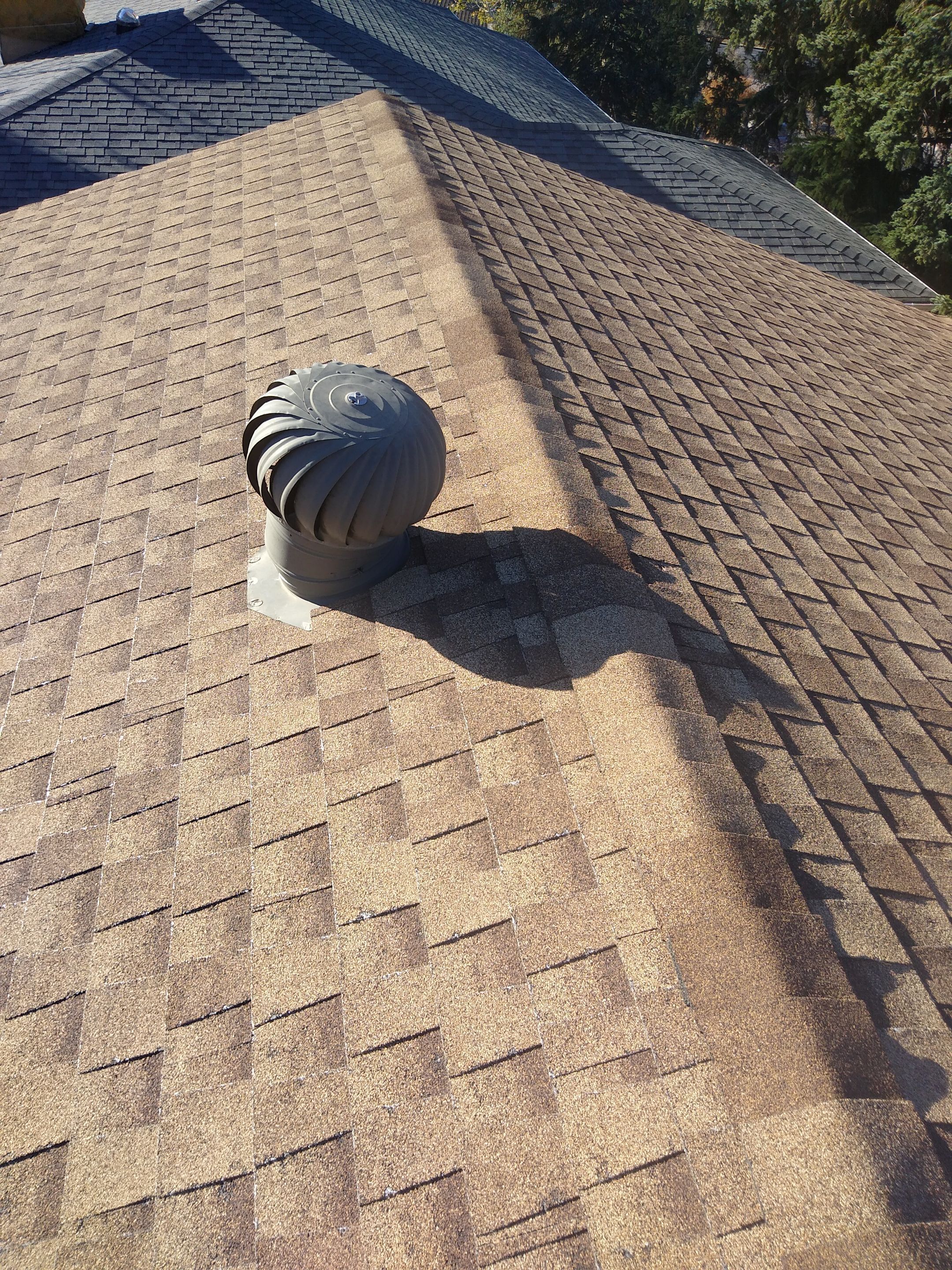 Hail Damage Re Roof  by Dynamic Renovation Contractors