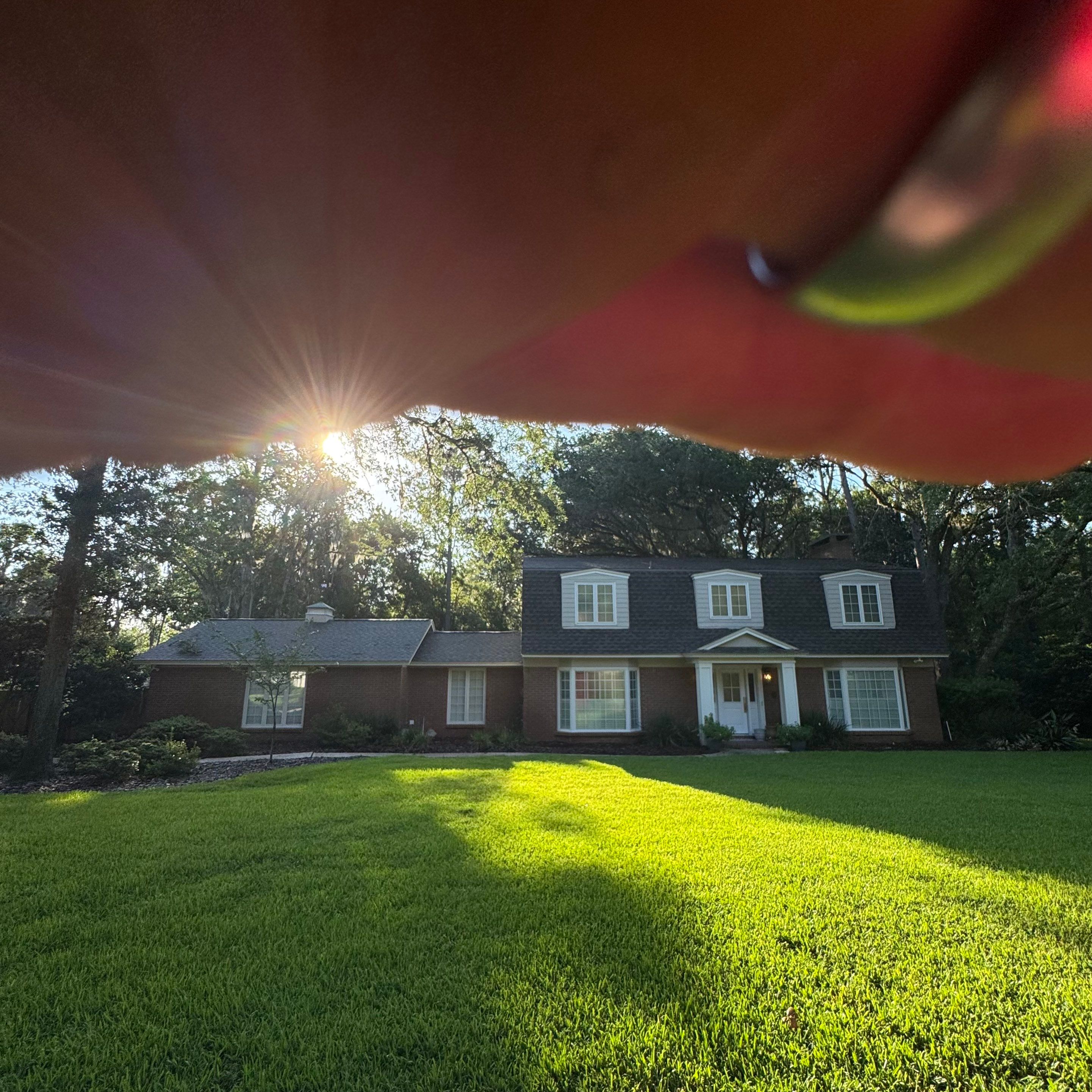 Deerwood Resident | Sod & Bed Design/Plant Installation by ProGreen Services