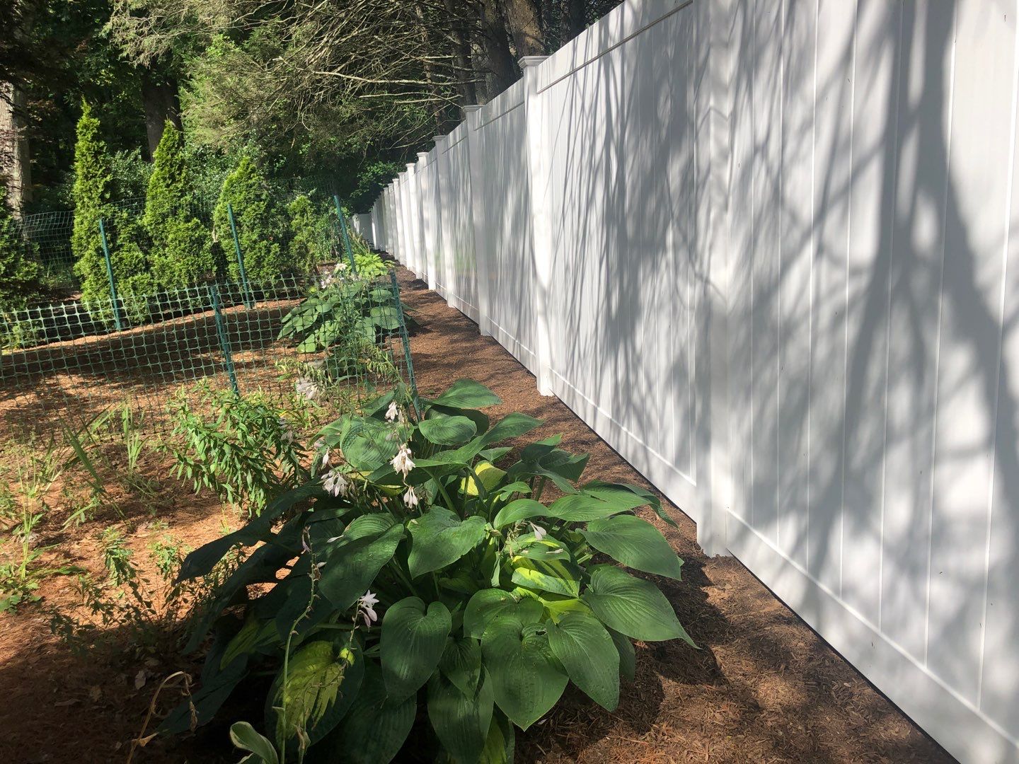 Replacement Vinyl privacy fence in White by DiGiorgi Roofing and Siding Inc