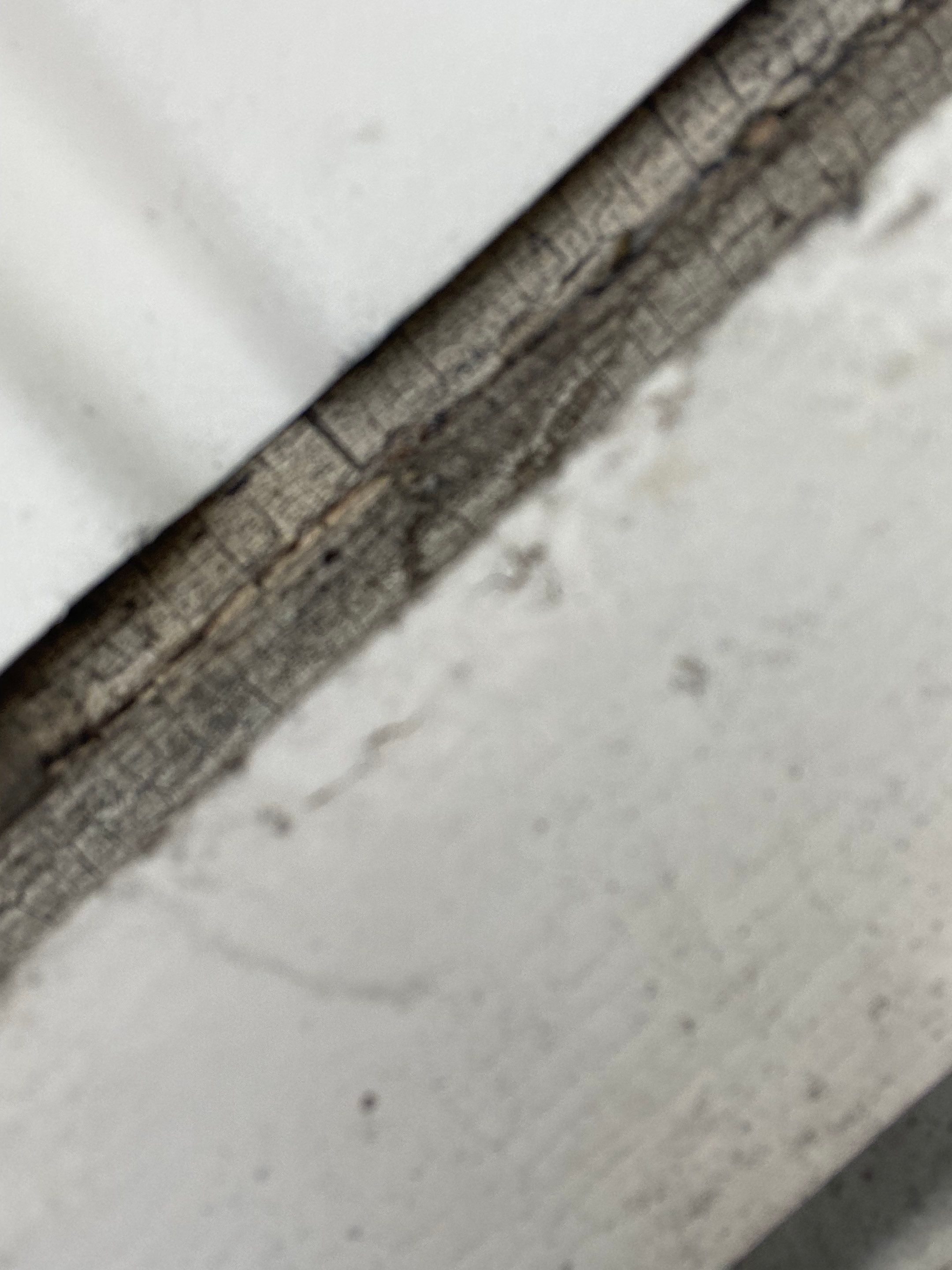 Gutters | Lowell by Mighty Dog Roofing of Greater Middlesex County