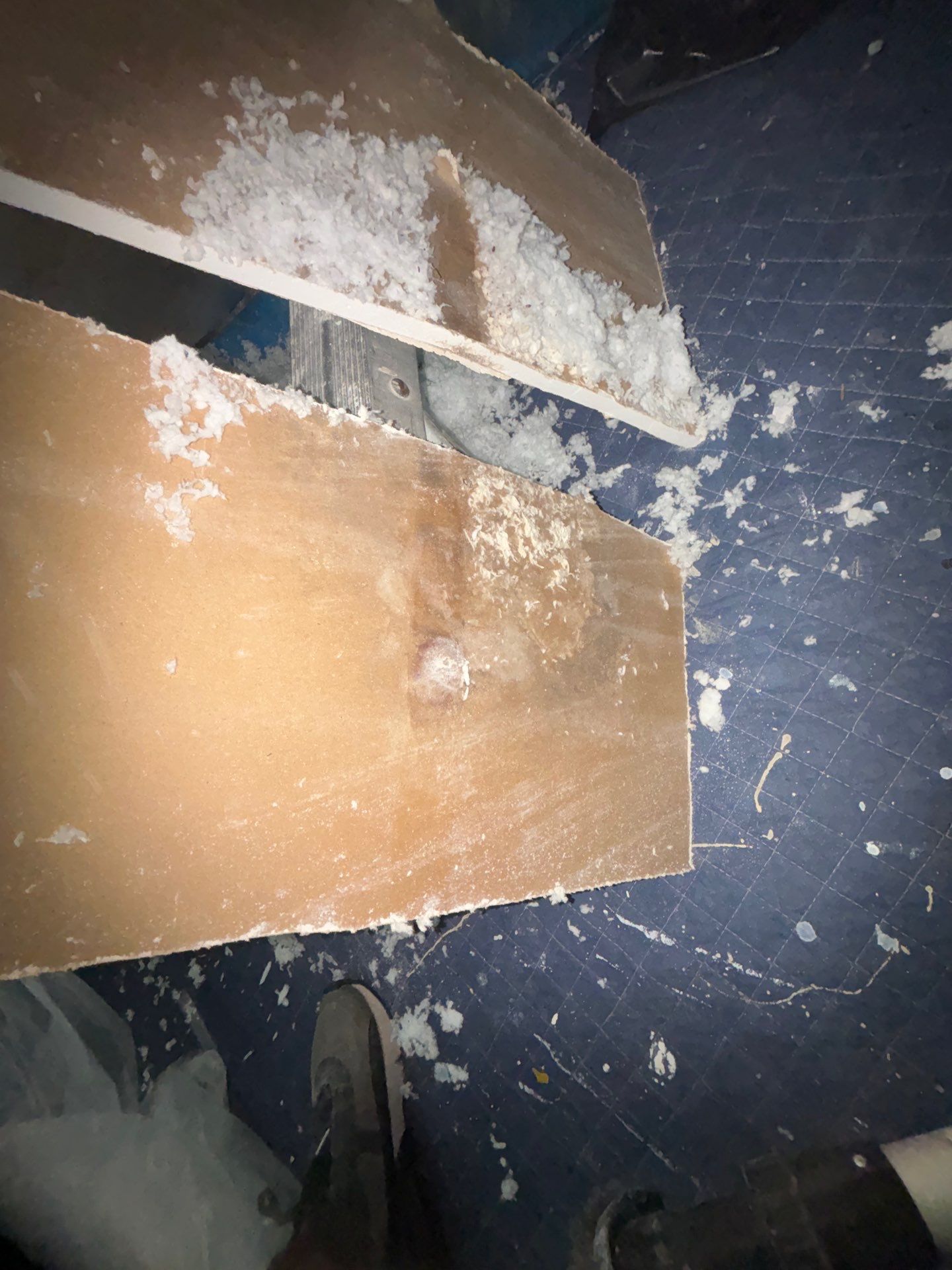 Mold Removal and treatment in Brandon, Florida by Ampm Restoration Services