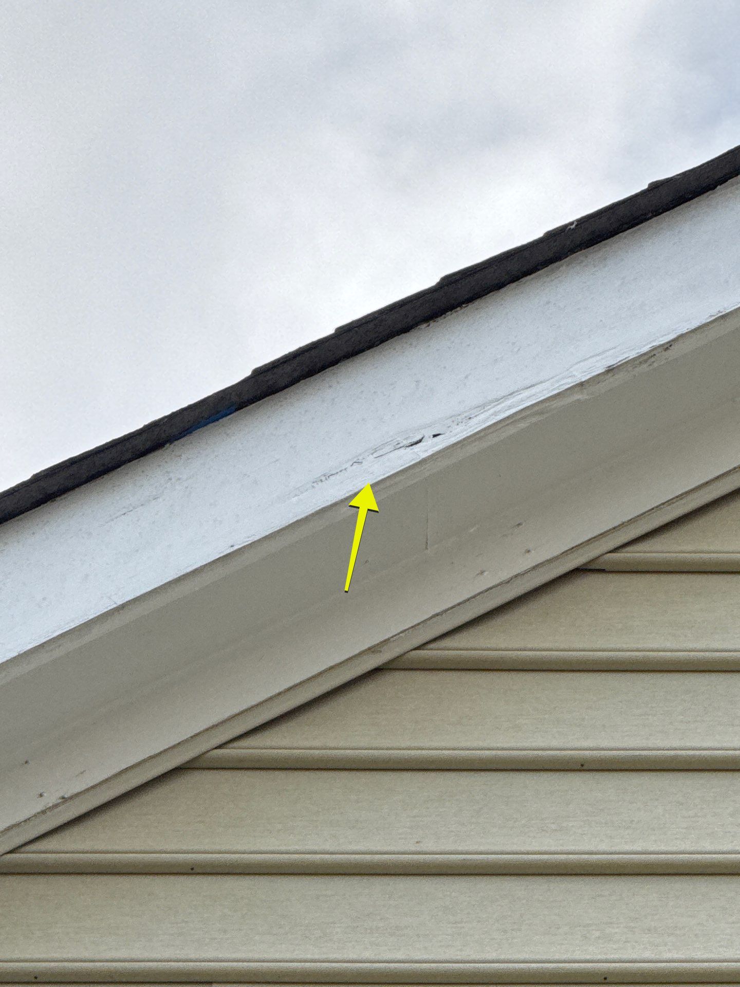 Exterior Repairs in Arlington, VA by My Painter 