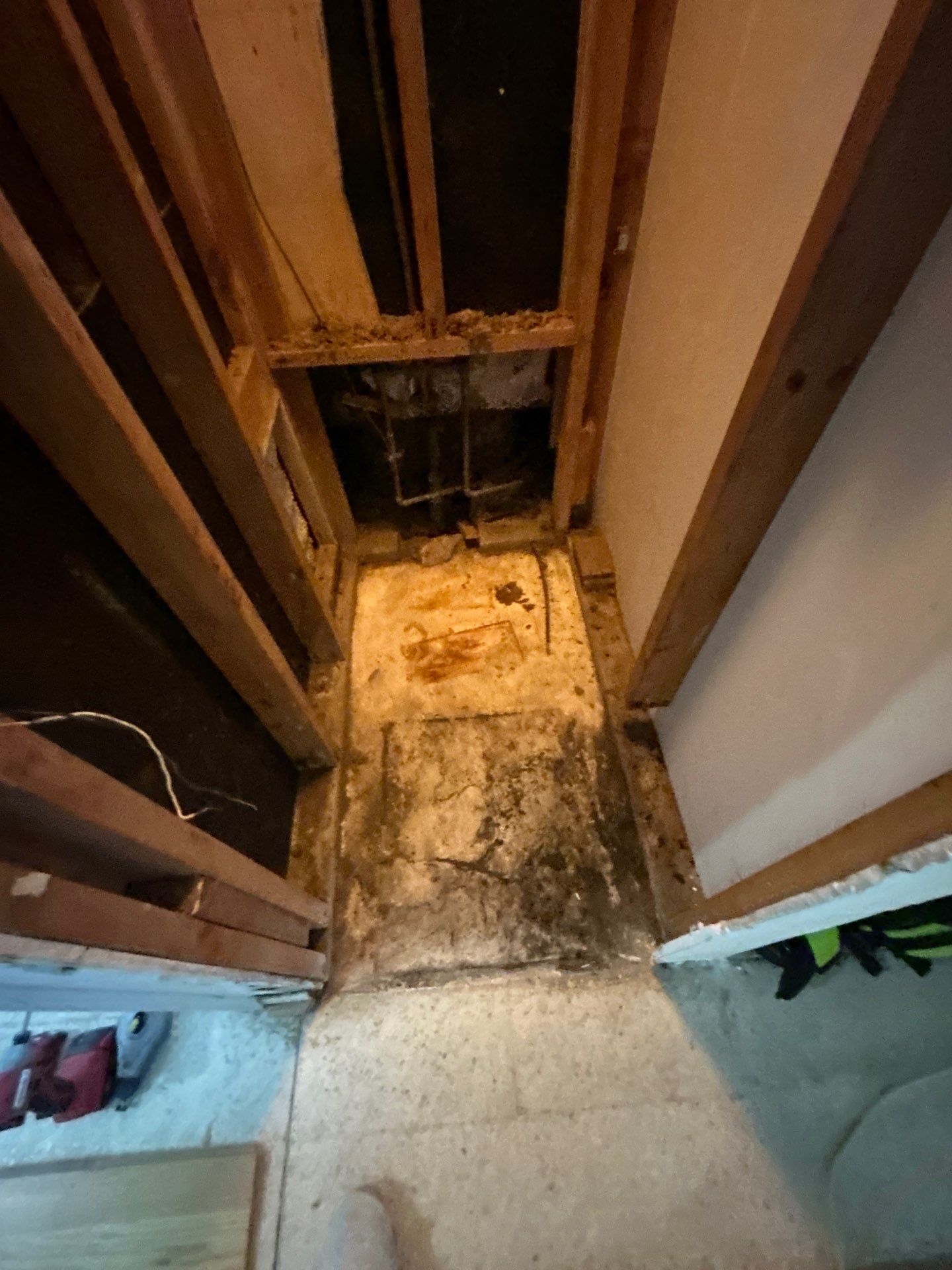 Mold Removal In Bradenton FL  by Ampm Restoration Services 