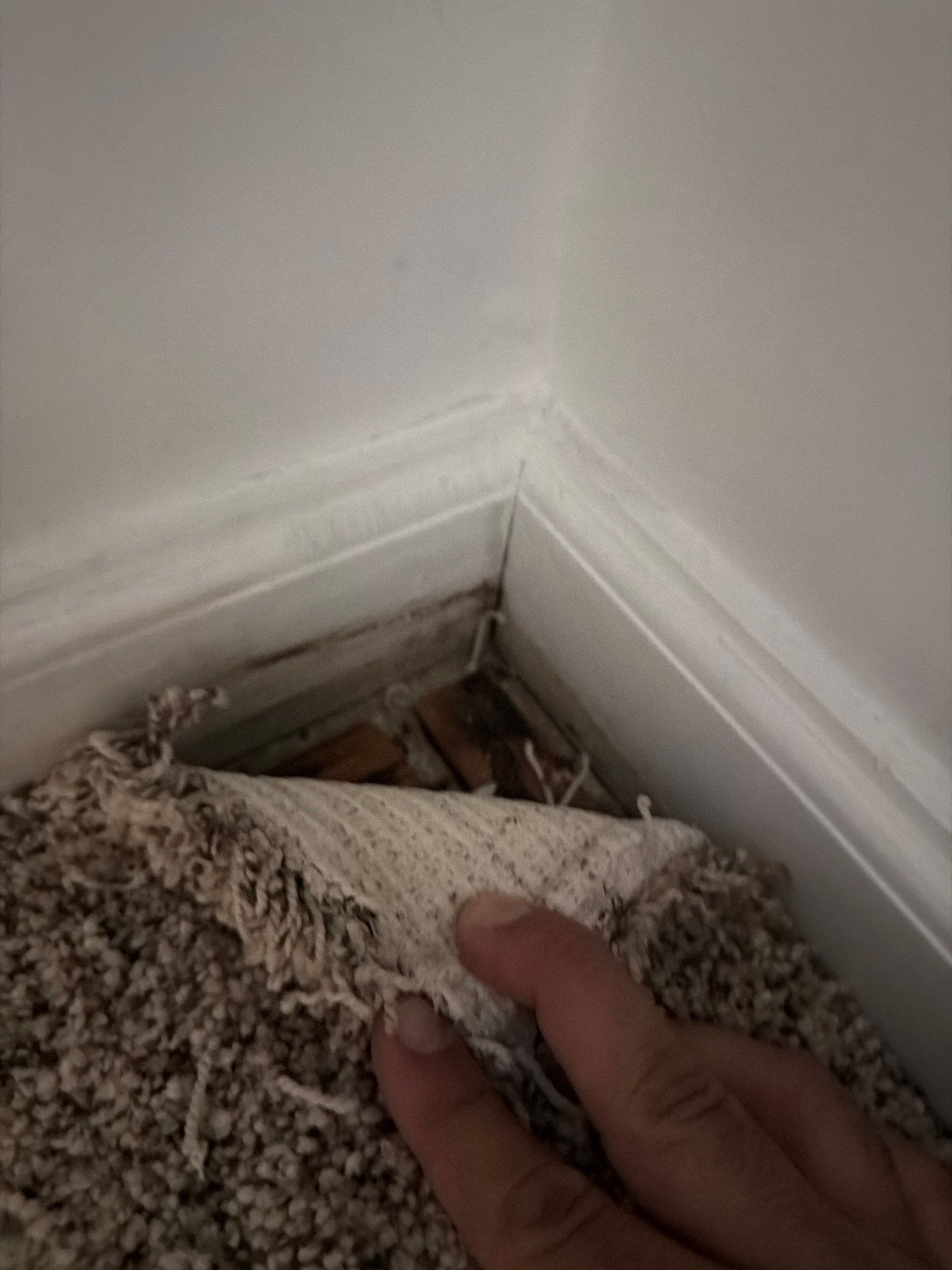 Water Damage Claim in Telford by FLAPA & KeyStone