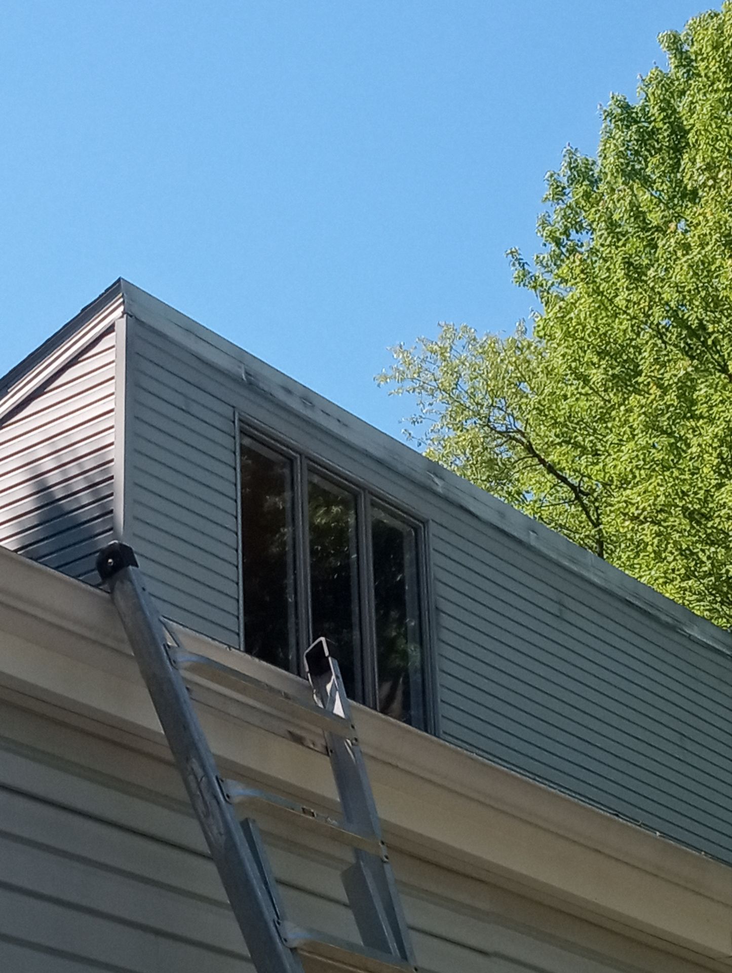Frances Emanuel by Silver Leaf Contracting 