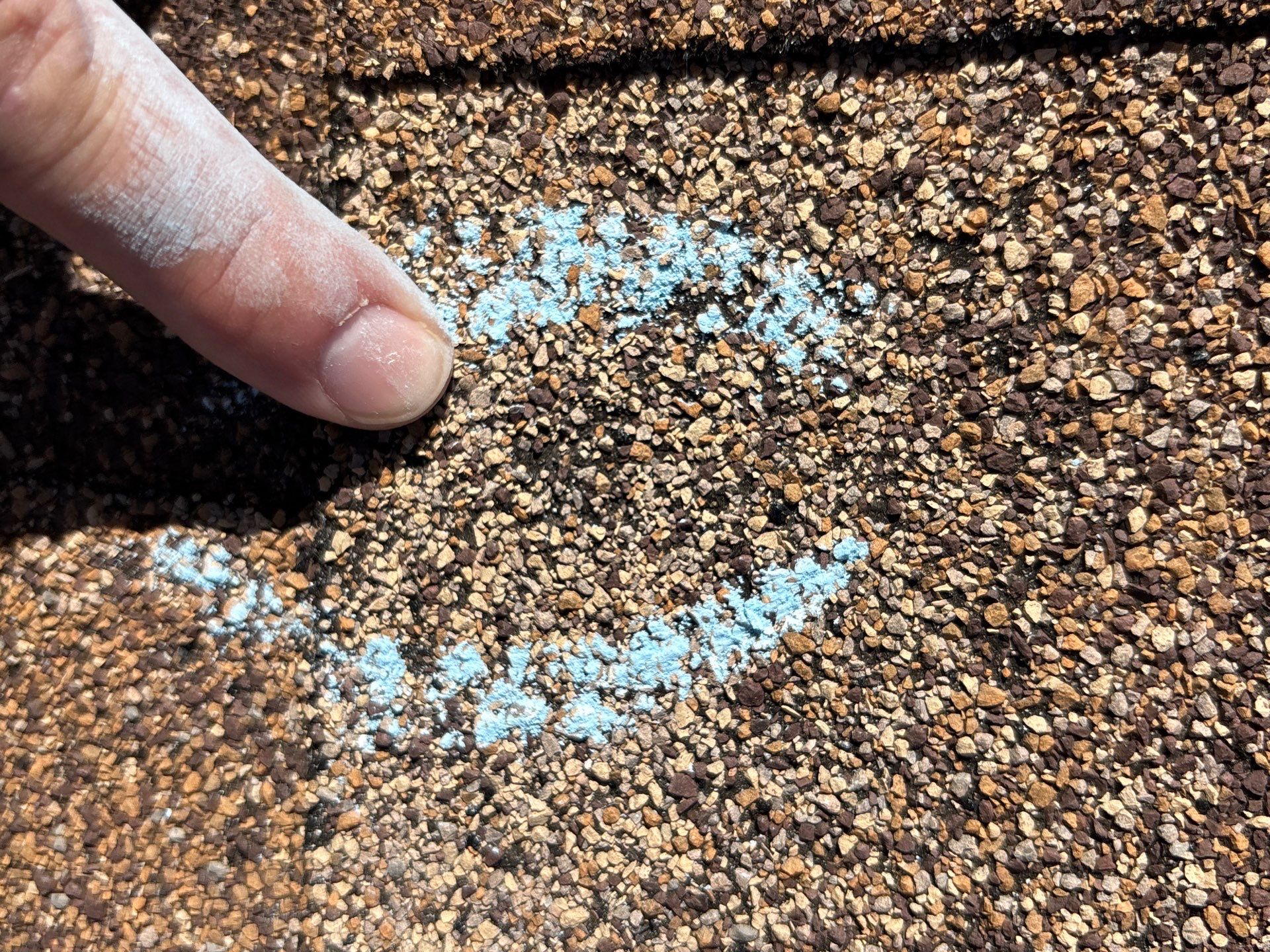 Nicole S by Boss Hogg Roofing