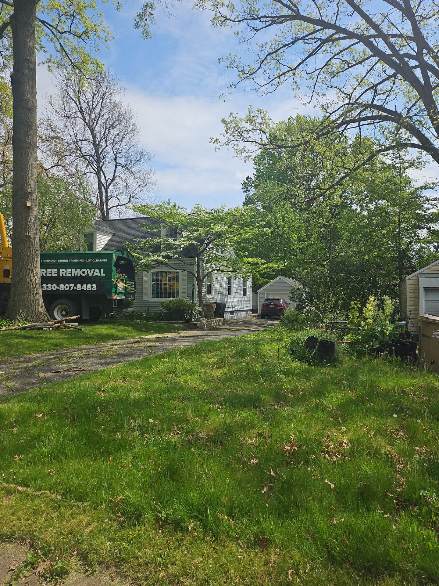 Tree Trimming using Tree Pruing by Mike Jones & Sons Tree Service LLC 