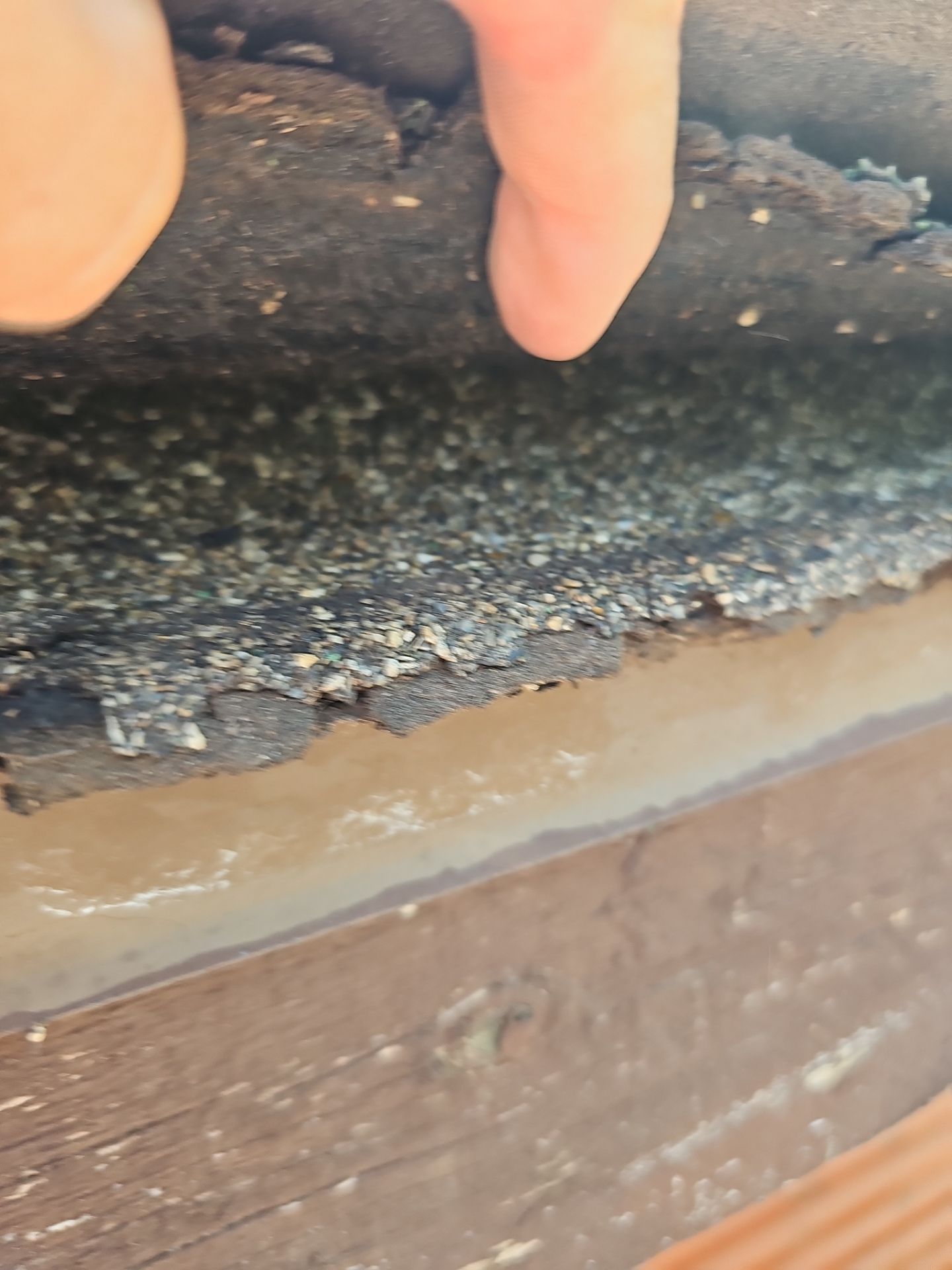 Malarkey Shingles in Arizona by Weather-Tite Exteriors LLC