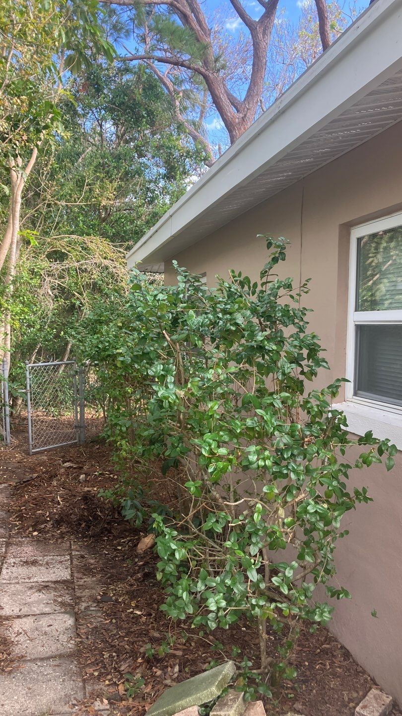 Project in St Pete 33712 by Mitchell Roofing Company LLC 