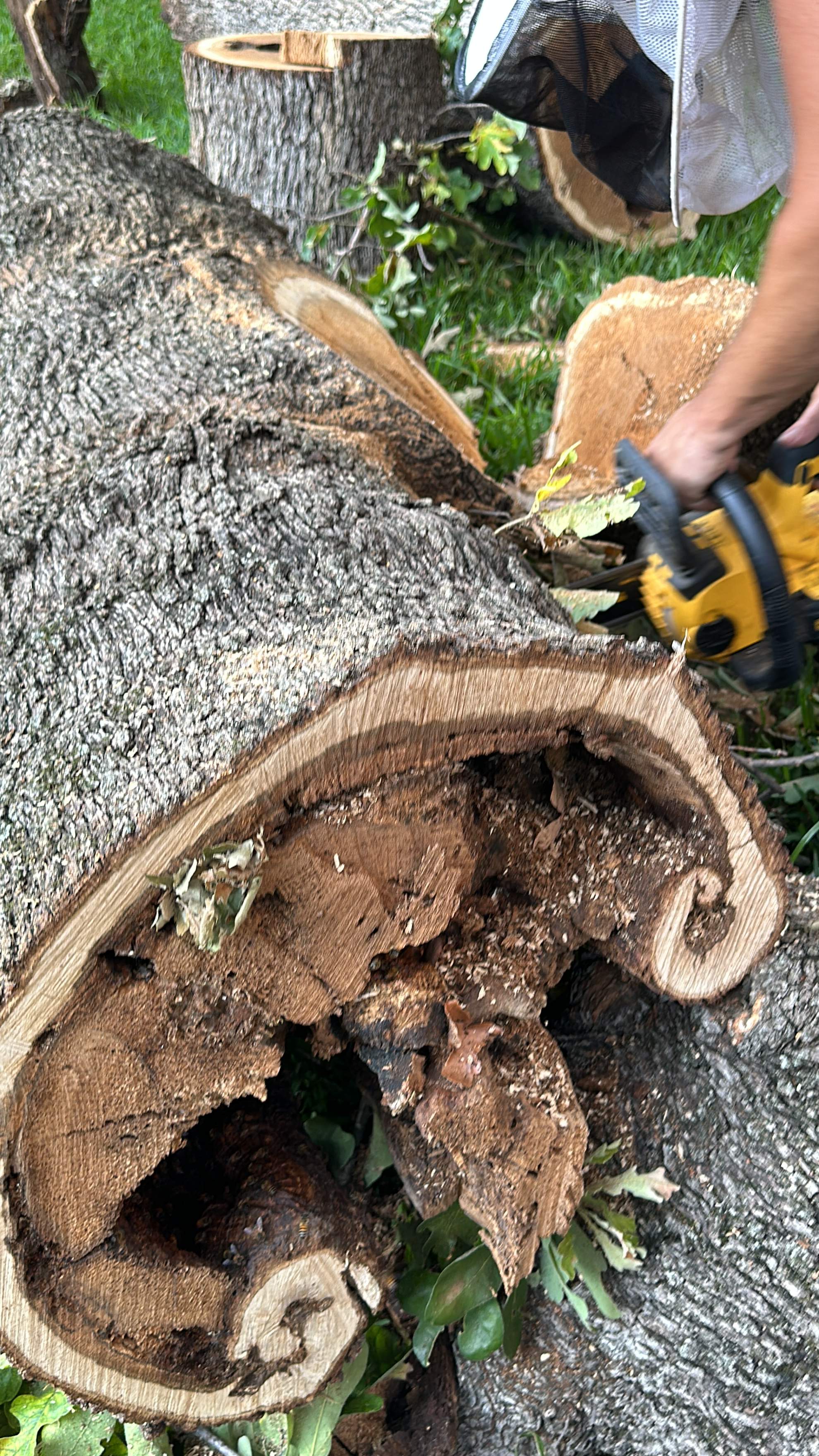 Wina-tree-go by Rockwall Honey Bee Company