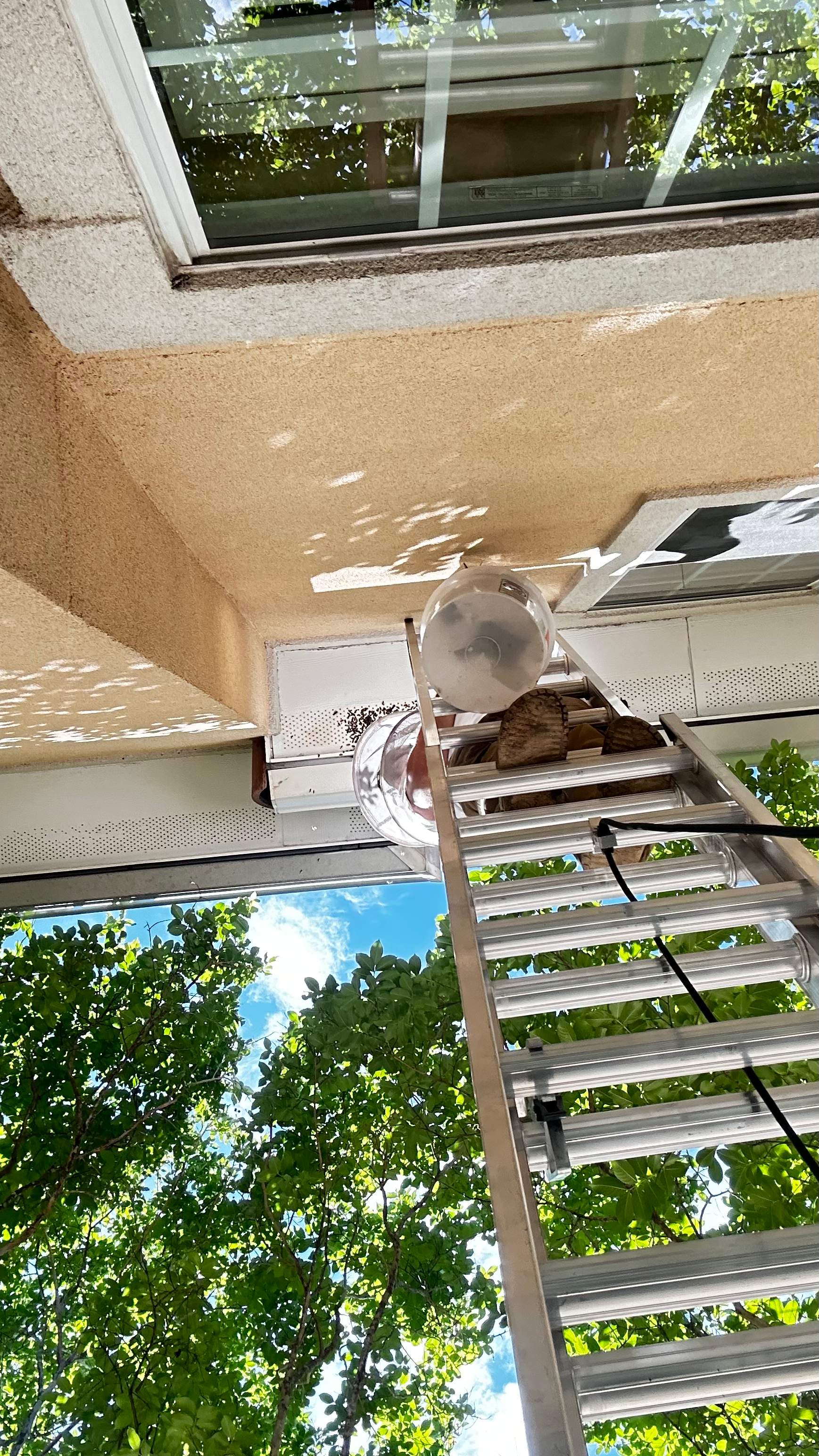 Beloved by Rockwall Honey Bee Company