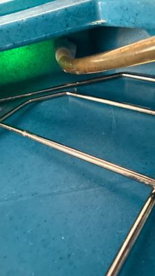 Wet Carpet Drying — Cape Coral, FL