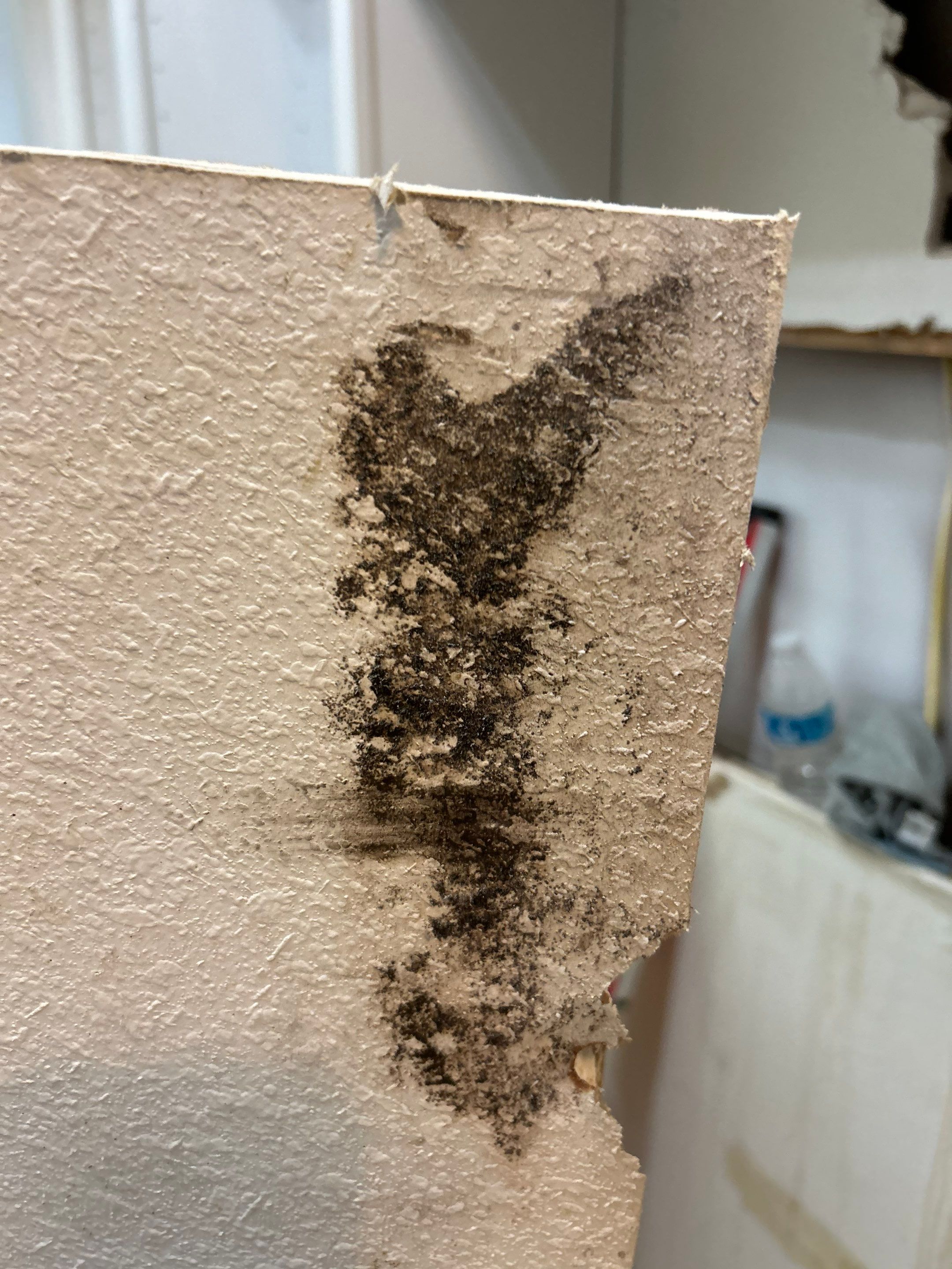 Project in Valrico by You Restorations LLC DBA YOU-Home