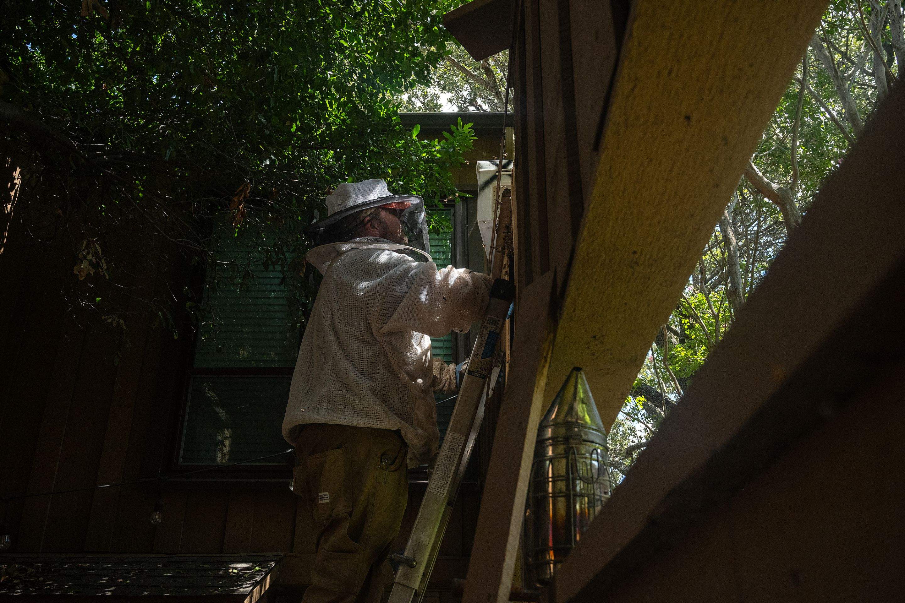 Condo Patio by Rockwall Honey Bee Company