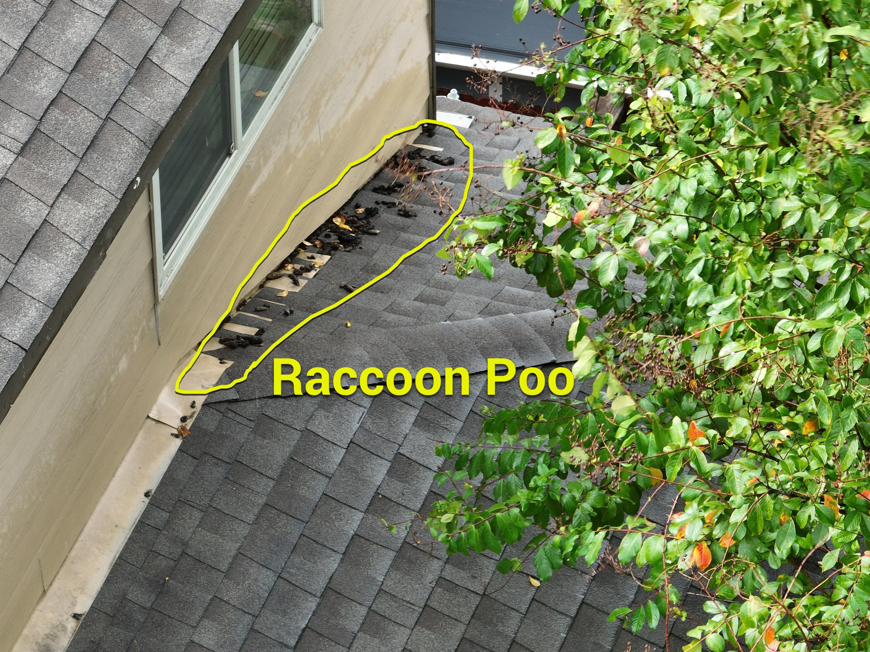 Roof Inspection  by Premier Roofing and Contracting
