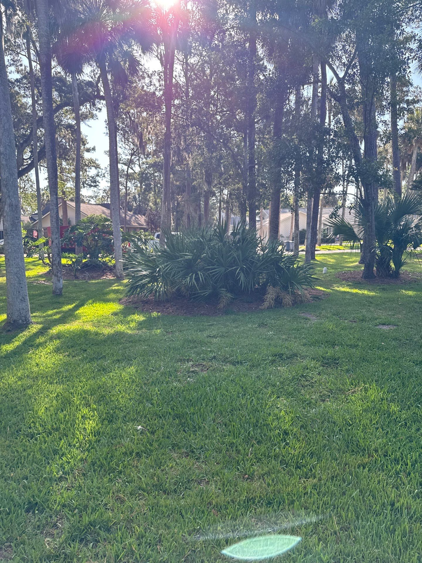 Residential | Pine Straw Install by ProGreen Services