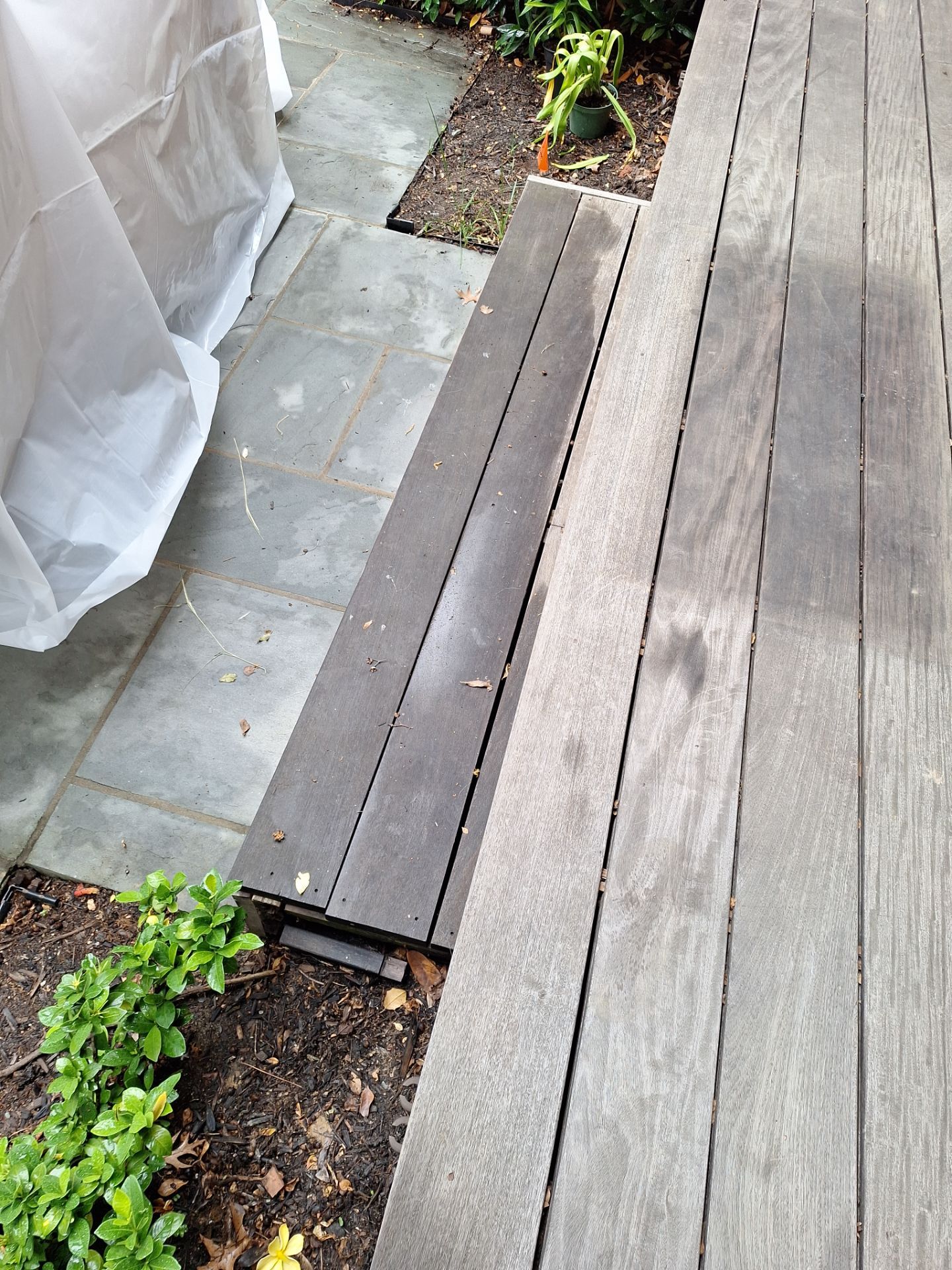 Exterior House Painting in Arlington, VA by My Painter 