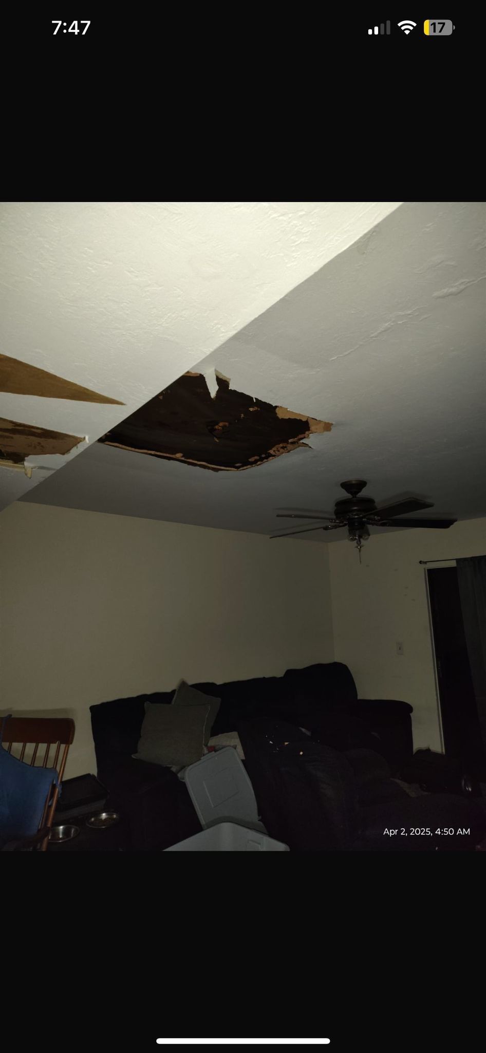 Cape Coral Water Damage Restoration by Ampm Restoration Services