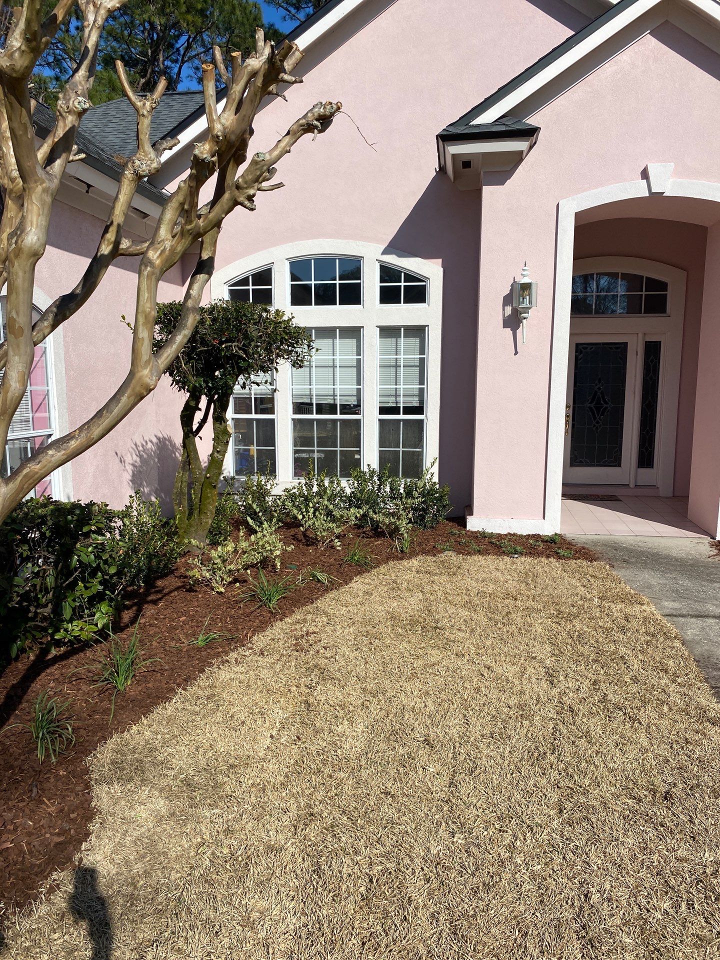 Deerwood Resident | Tree Removal & Clean-Up by ProGreen Services