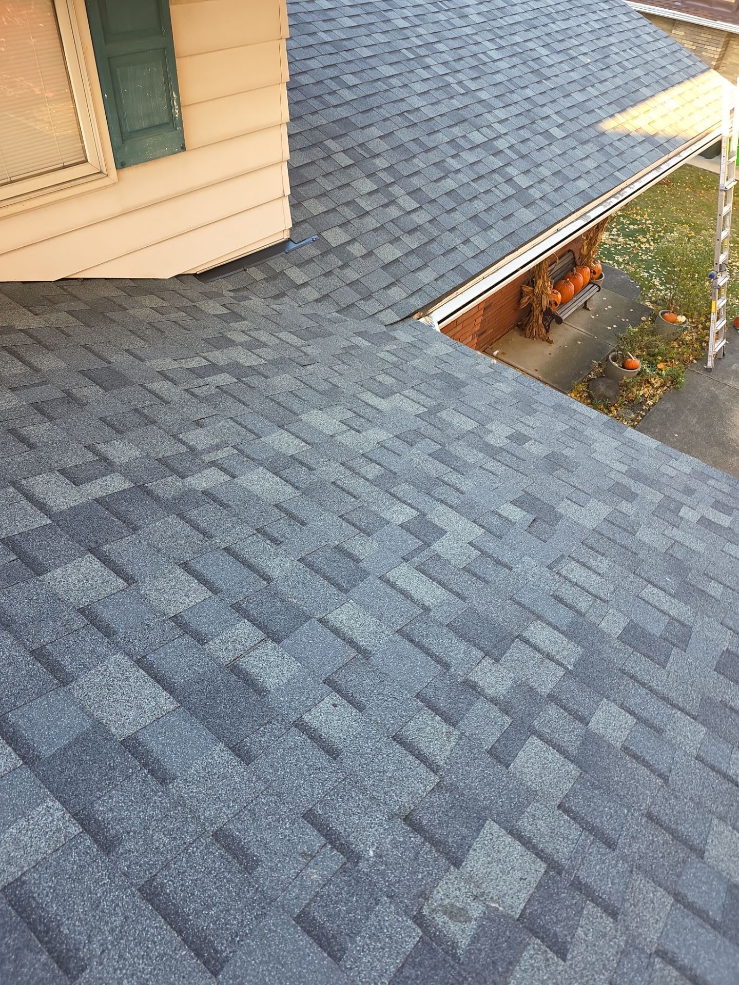 Shingle Roof Replacement by Absolute Roofing and Construction
