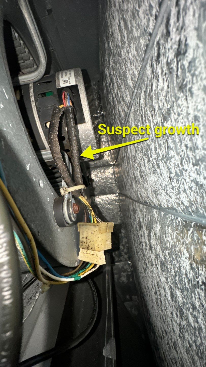Commercial Air Duct Cleaning in Tavares by Hygienic Air, Inc