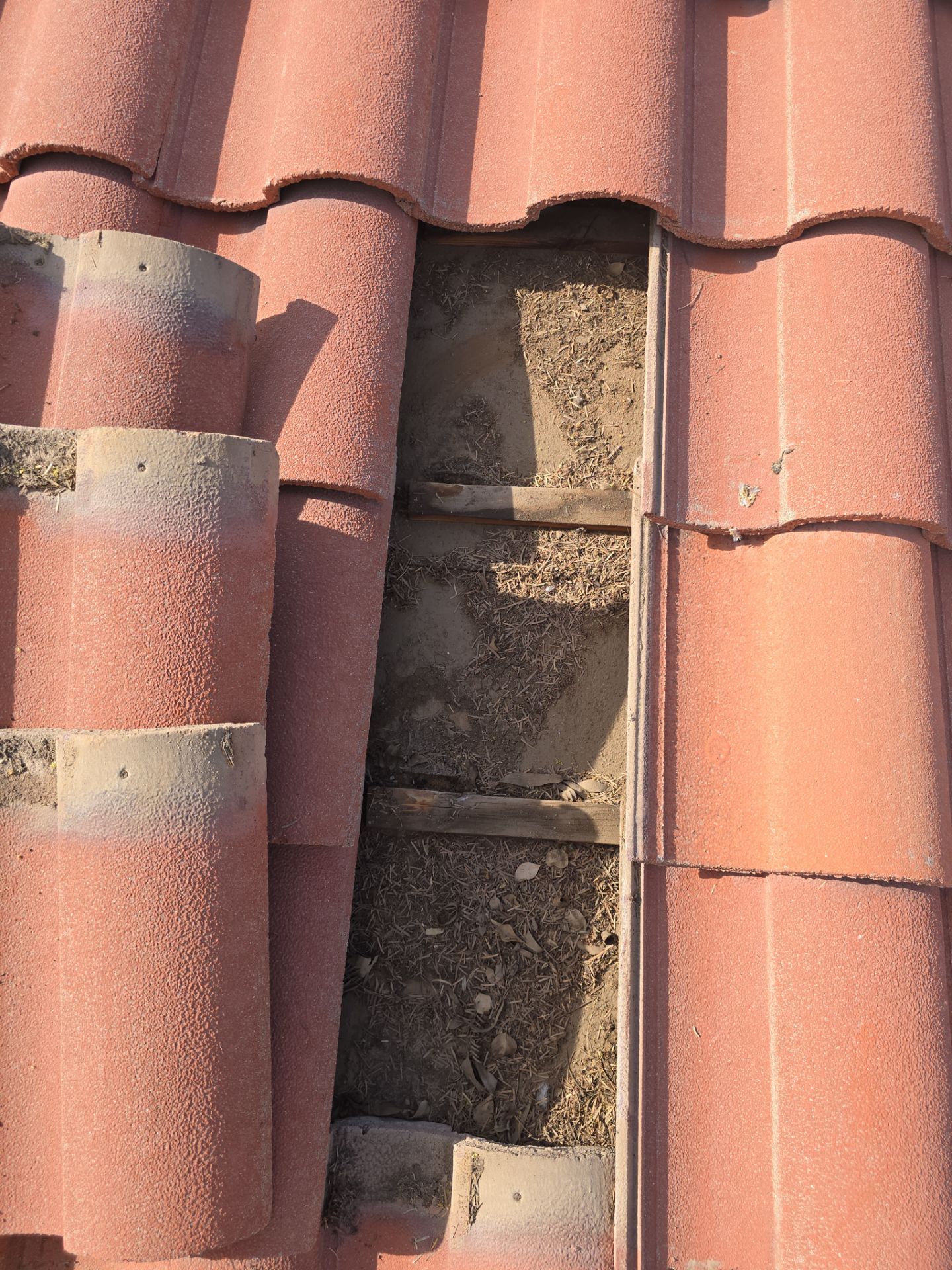 Project in Phoenix, AZ by Showtime Roofing & Coatings LLC