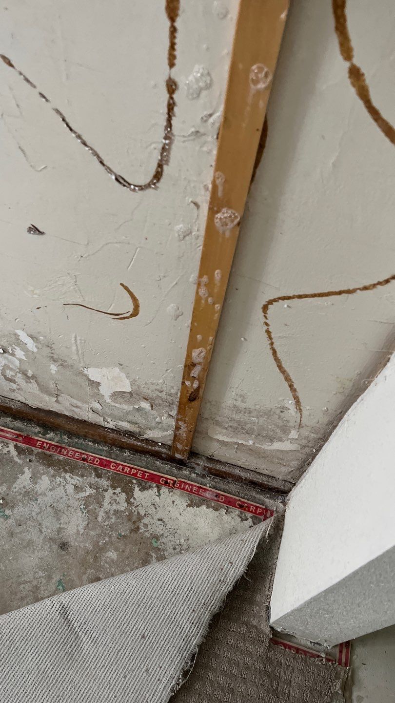 Mold Remediation by Accountable Home Services