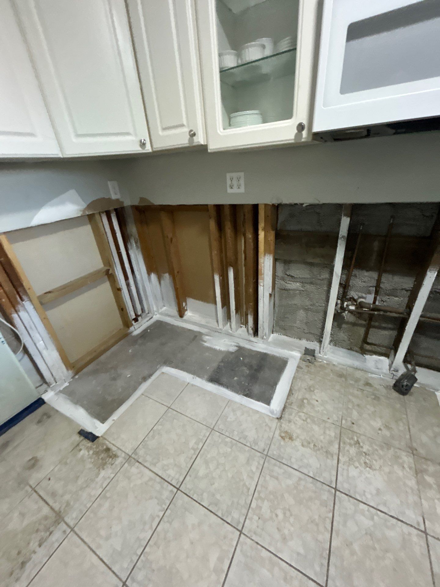 Mold Inspection & Removal by Ampm Restoration Services