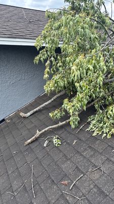Turtle Shell gutter protection installation in Naperville, IL 60563, photograph 5