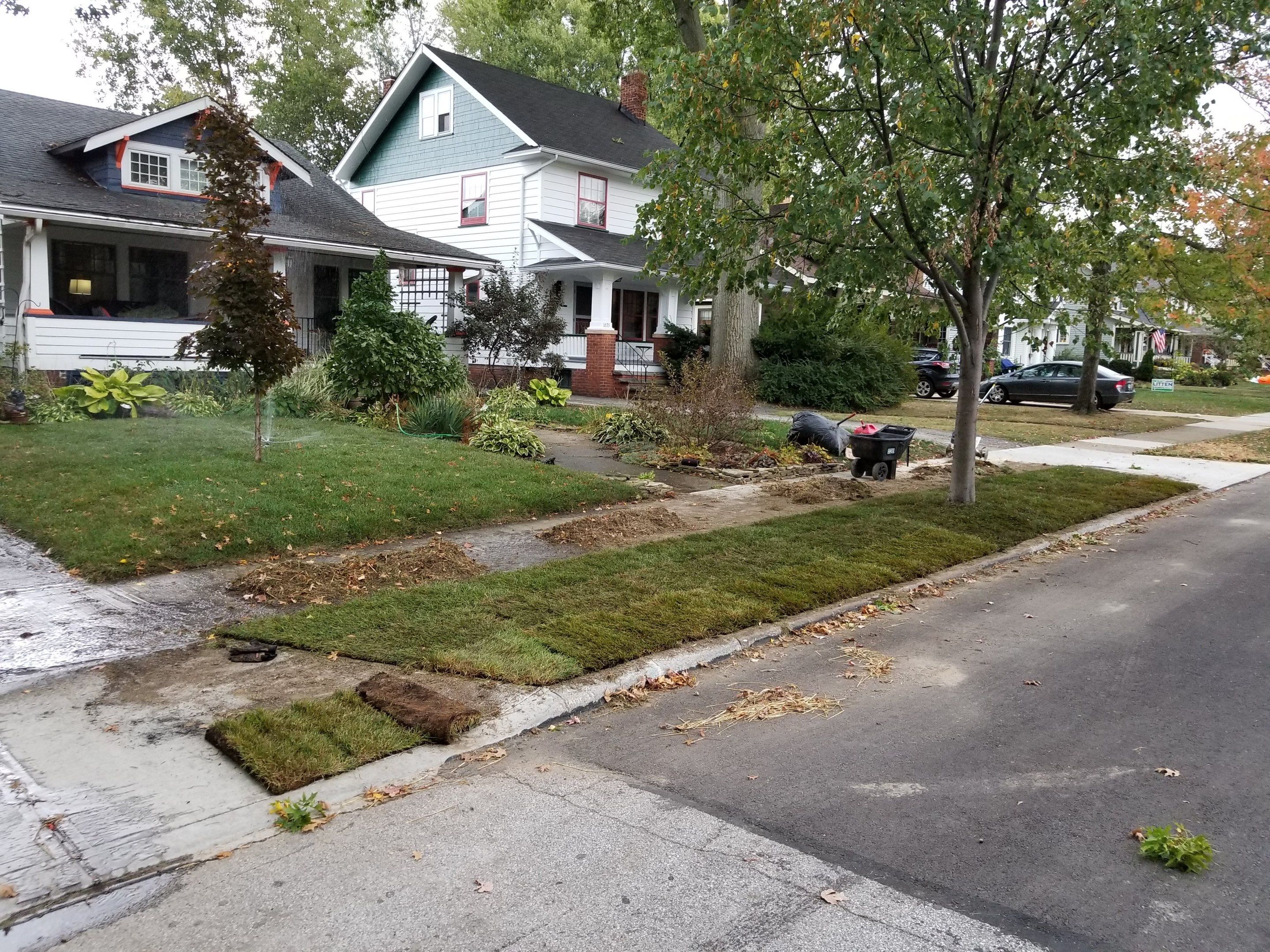 Woodland Island Project by Elm Rose Gardens