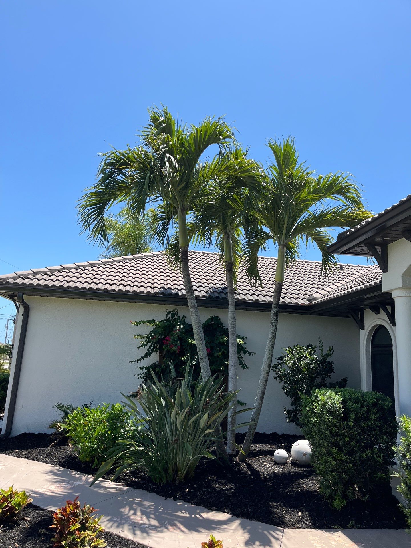 Bronze Gutter Repair and Replacement in Cape Coral FL by Gutter Professors