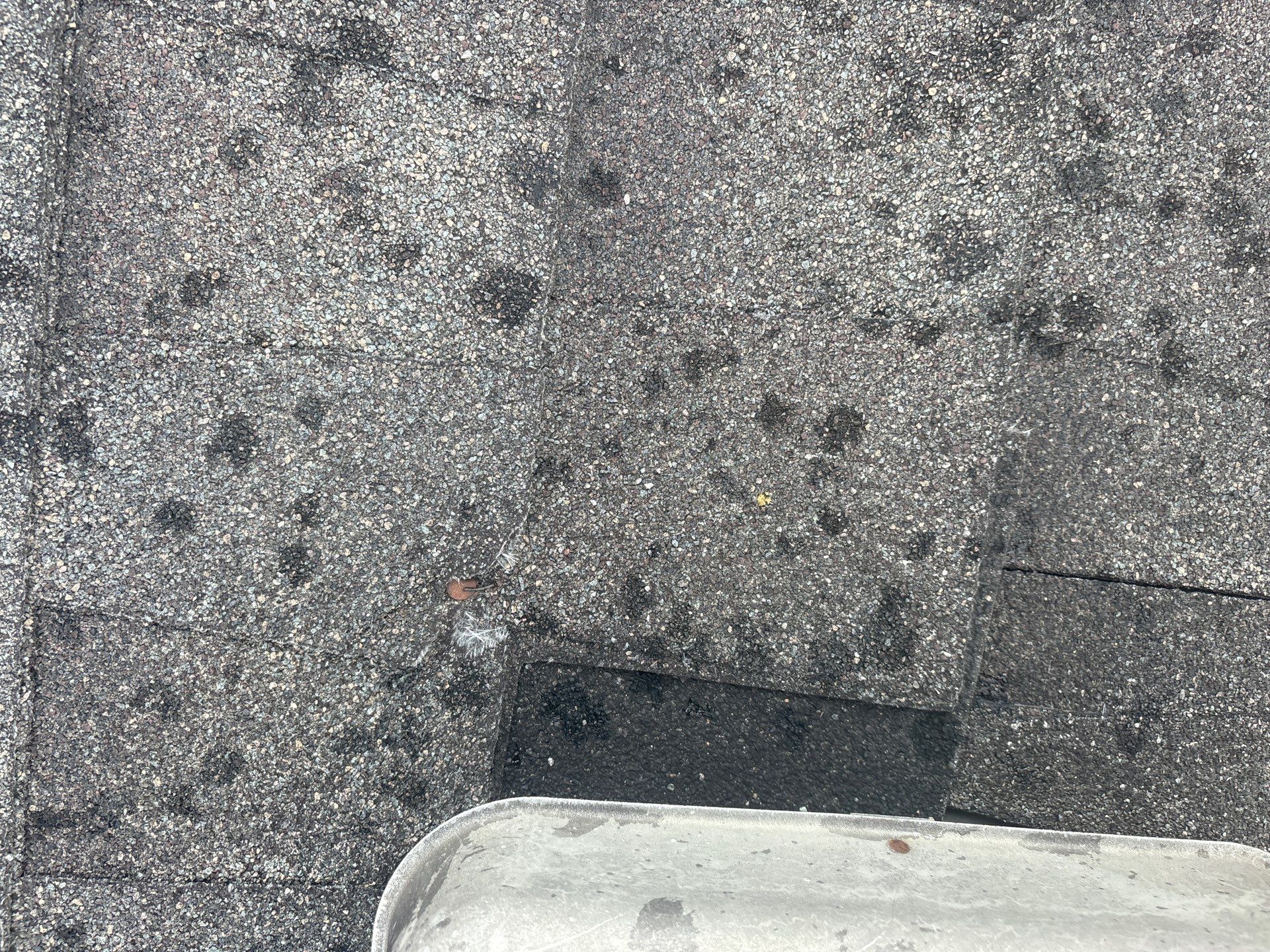 Hail Damage using Owen's Corning Duration (Lifetime) Shingles by Roof Repair Company