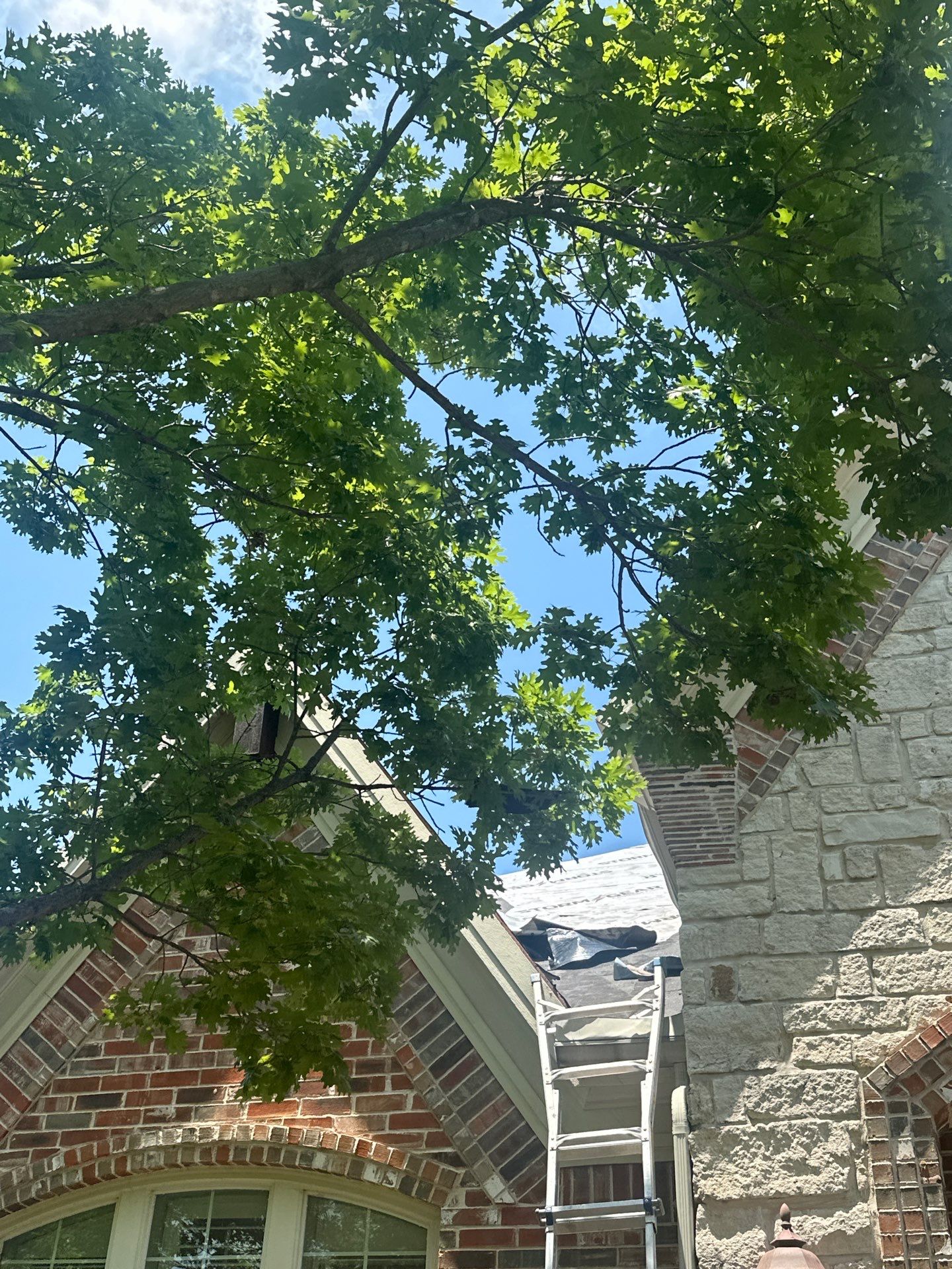 Project in Rowlett by Rhino Roofing and General Contracting, LLC