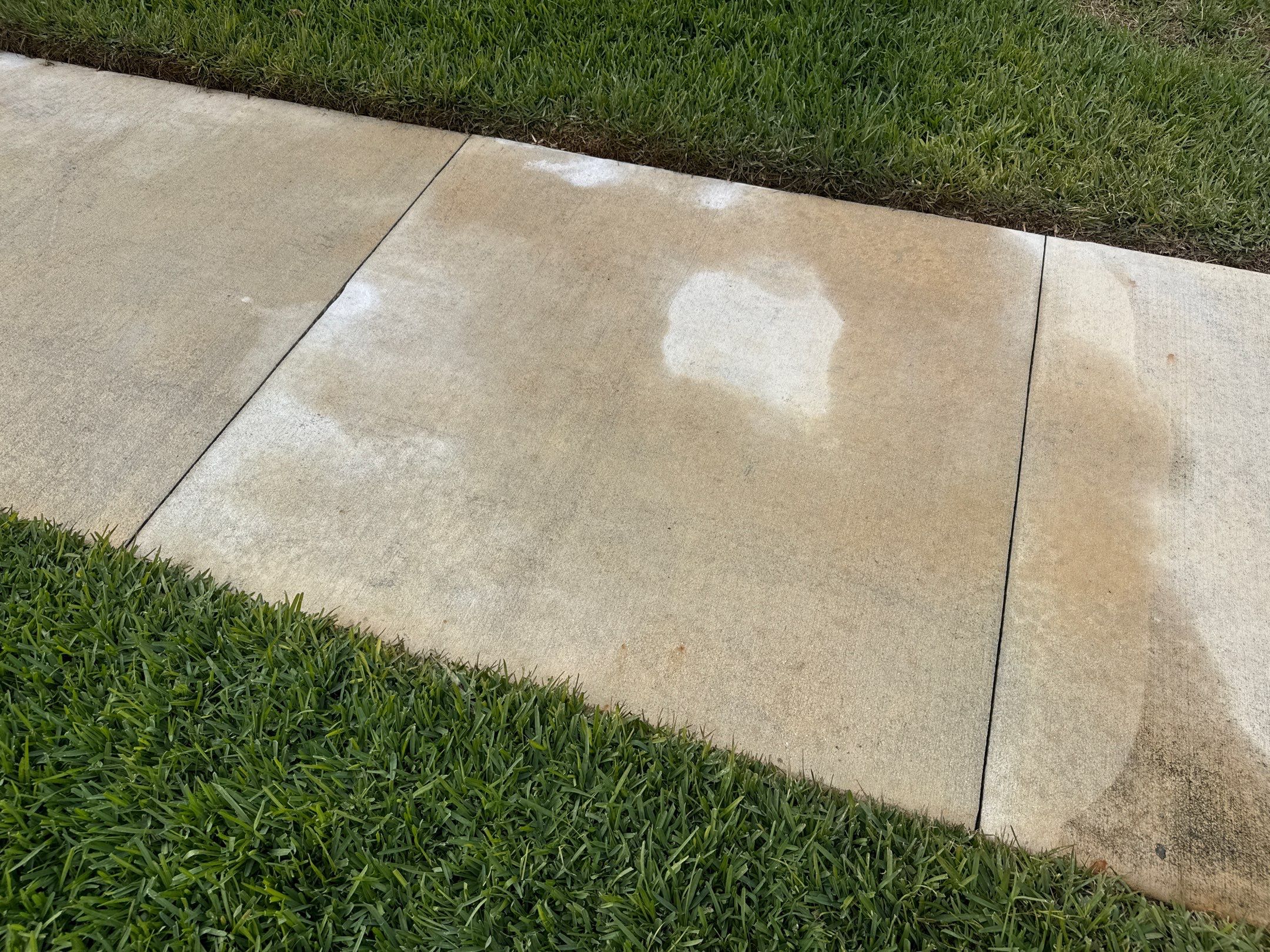 Rust Stain Removal from Concrete Driveway and Pavers in Park East at Azario | Lakewood Ranch, FL by Sunshine AquaWash