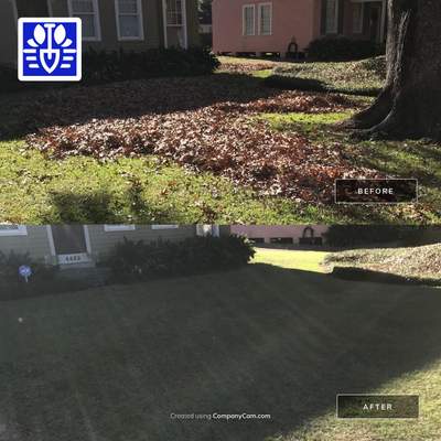 WINTER SERVICES: FULL LEAF JOB