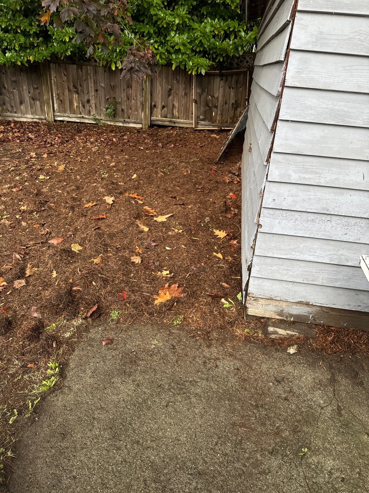 Gutter Cleaning- Taylor Way by YVR Construction Group
