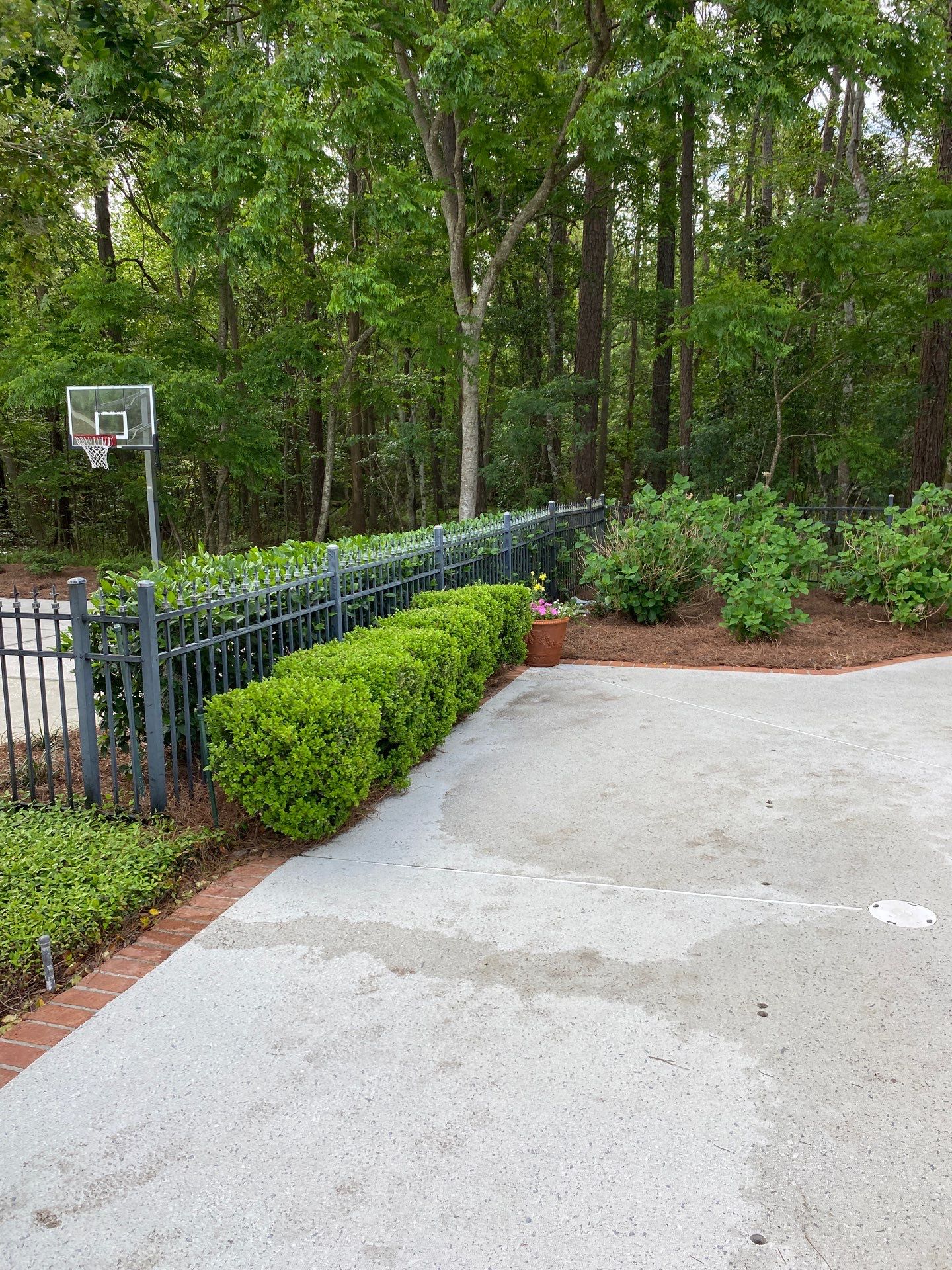 Deerwood Resident | Pine Straw Installation by ProGreen Services