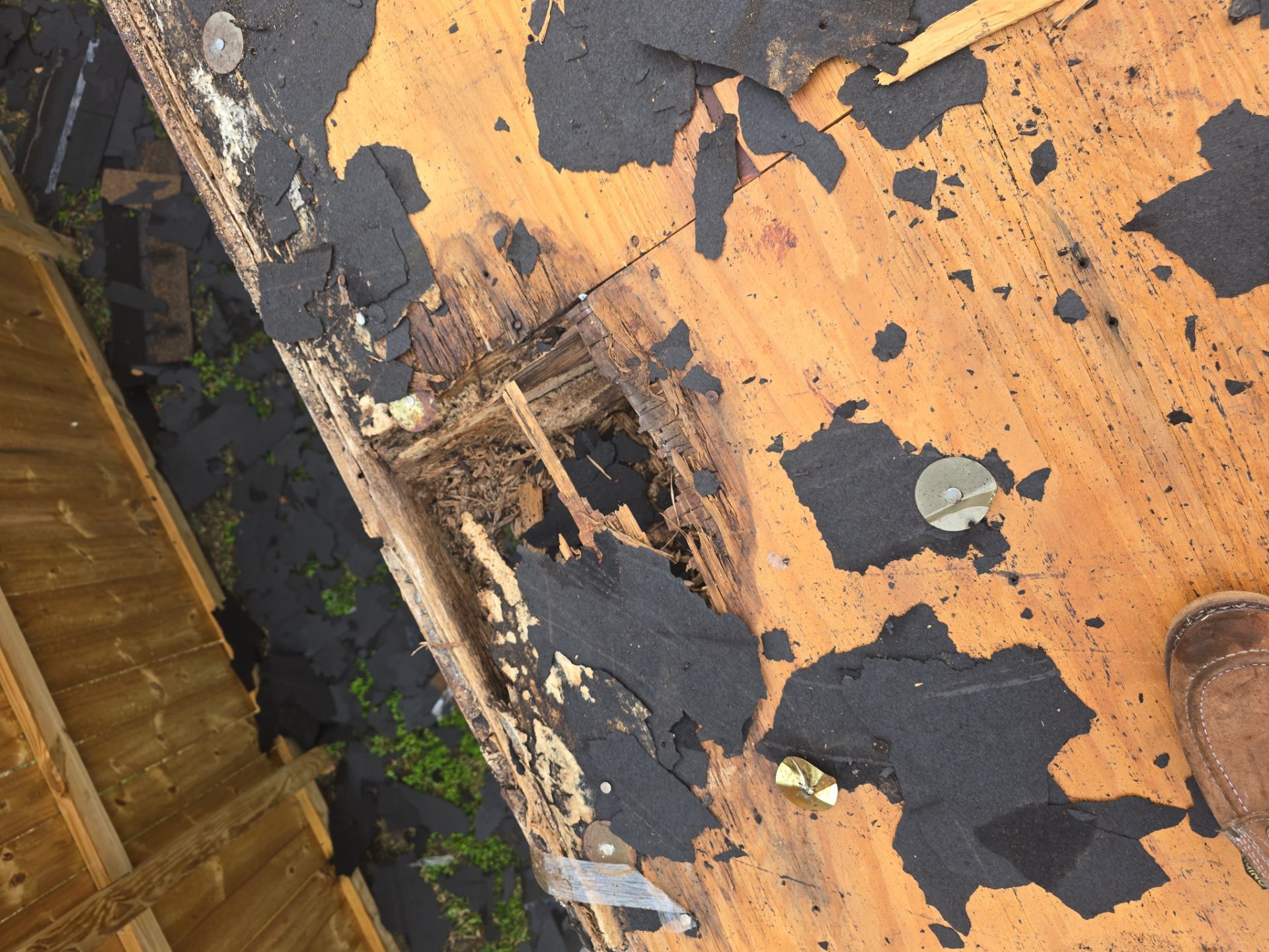 Roof Replacement Pasadena by Roof Repair Company