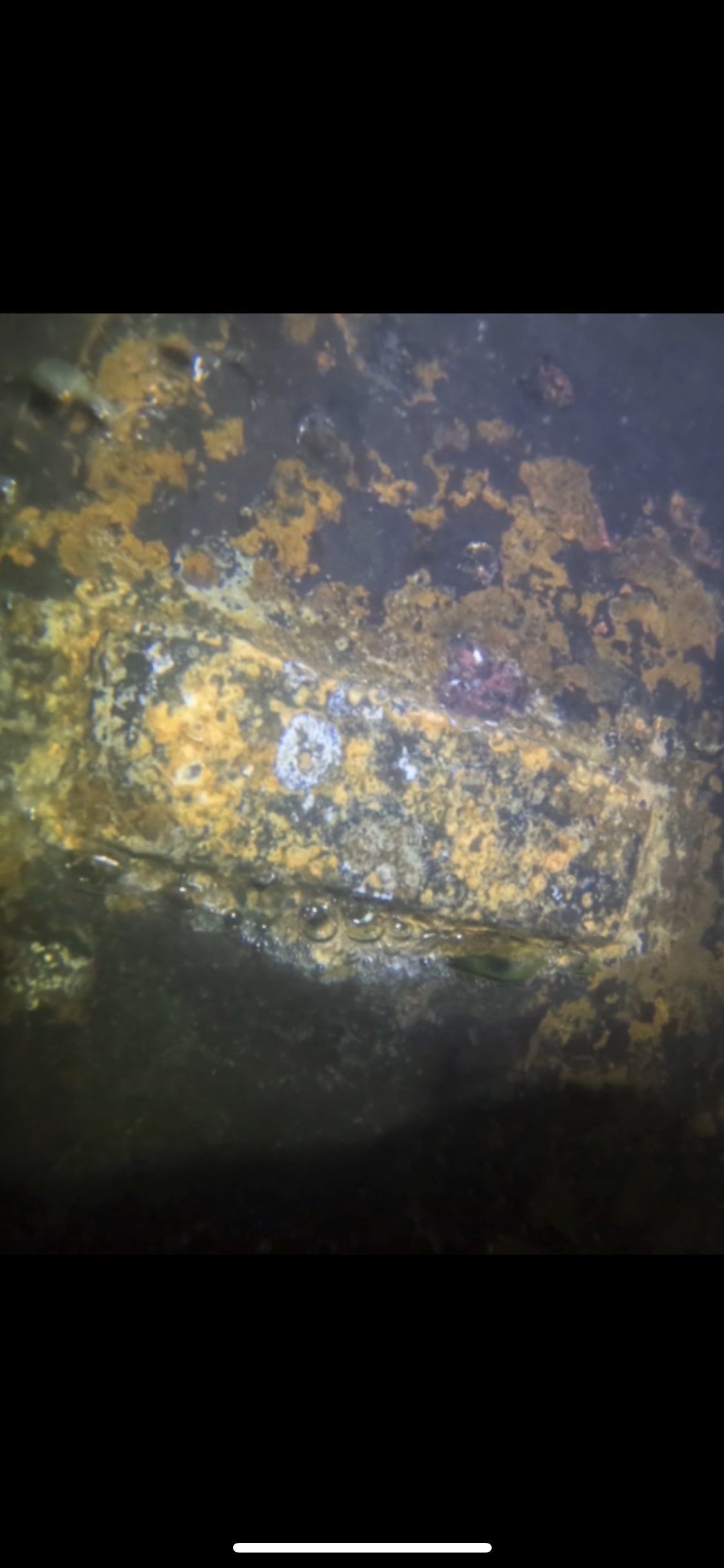 Project in Pensacola by Florida Hull Cleaning 