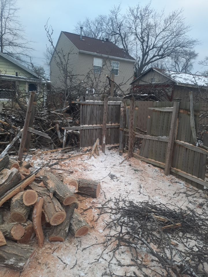 Storm Damaged Tree Removal  using Tree Removal by Mike Jones & Sons Tree Service LLC 