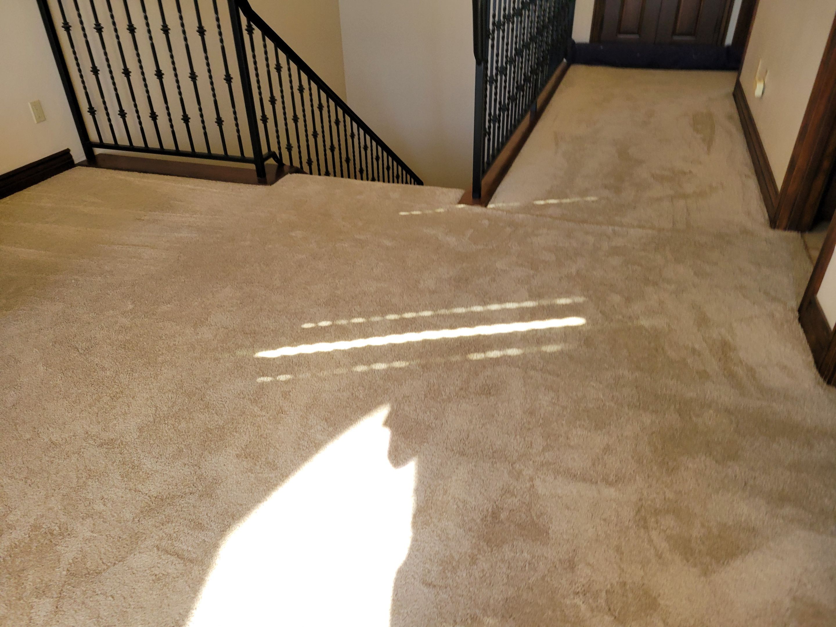 Carpet Re-stretching in El Dorado Hills by Ardent Carpet Restore LLC
