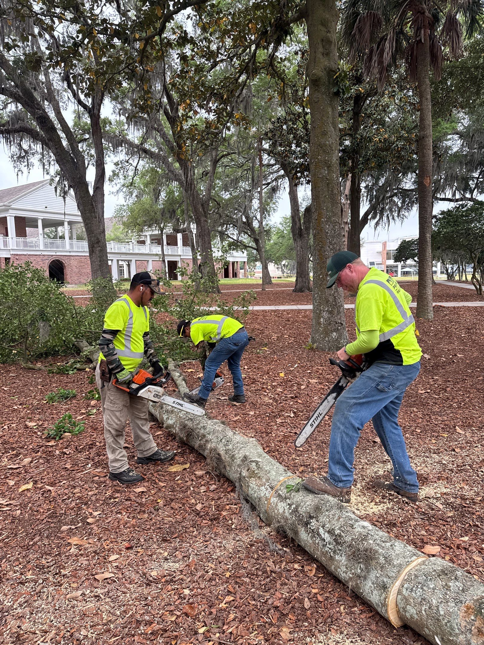Episcopal School of Jacksonville | Tree Service by ProGreen Services