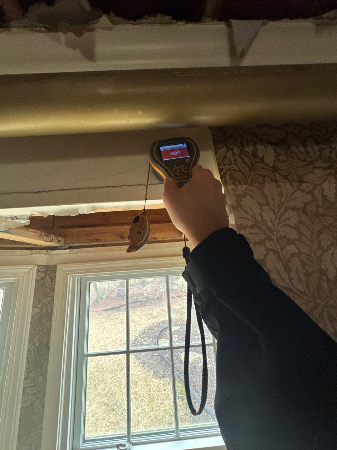 Project in Plymouth by EzDry Water Mitigation & Property Restoration